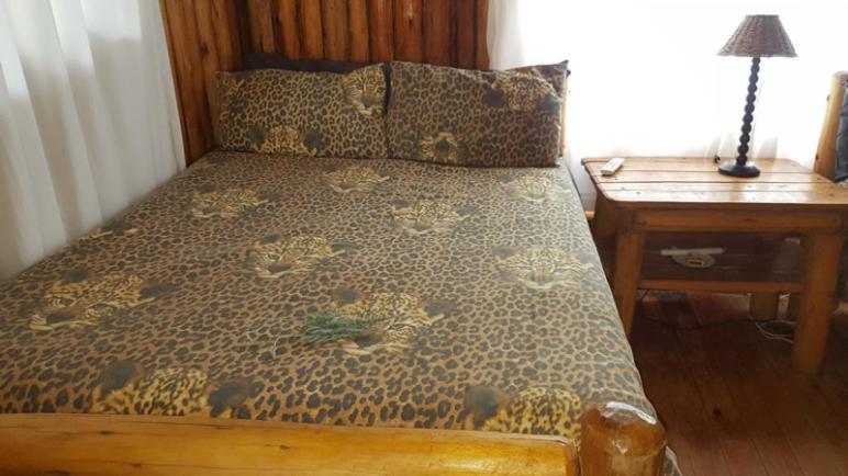 Family Room - Photo 1