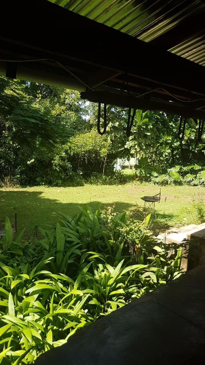 Double Room with Garden View - Photo 1