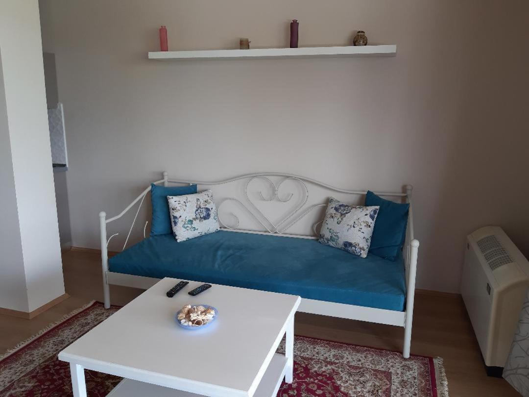 Apartment with Terrace photo 2