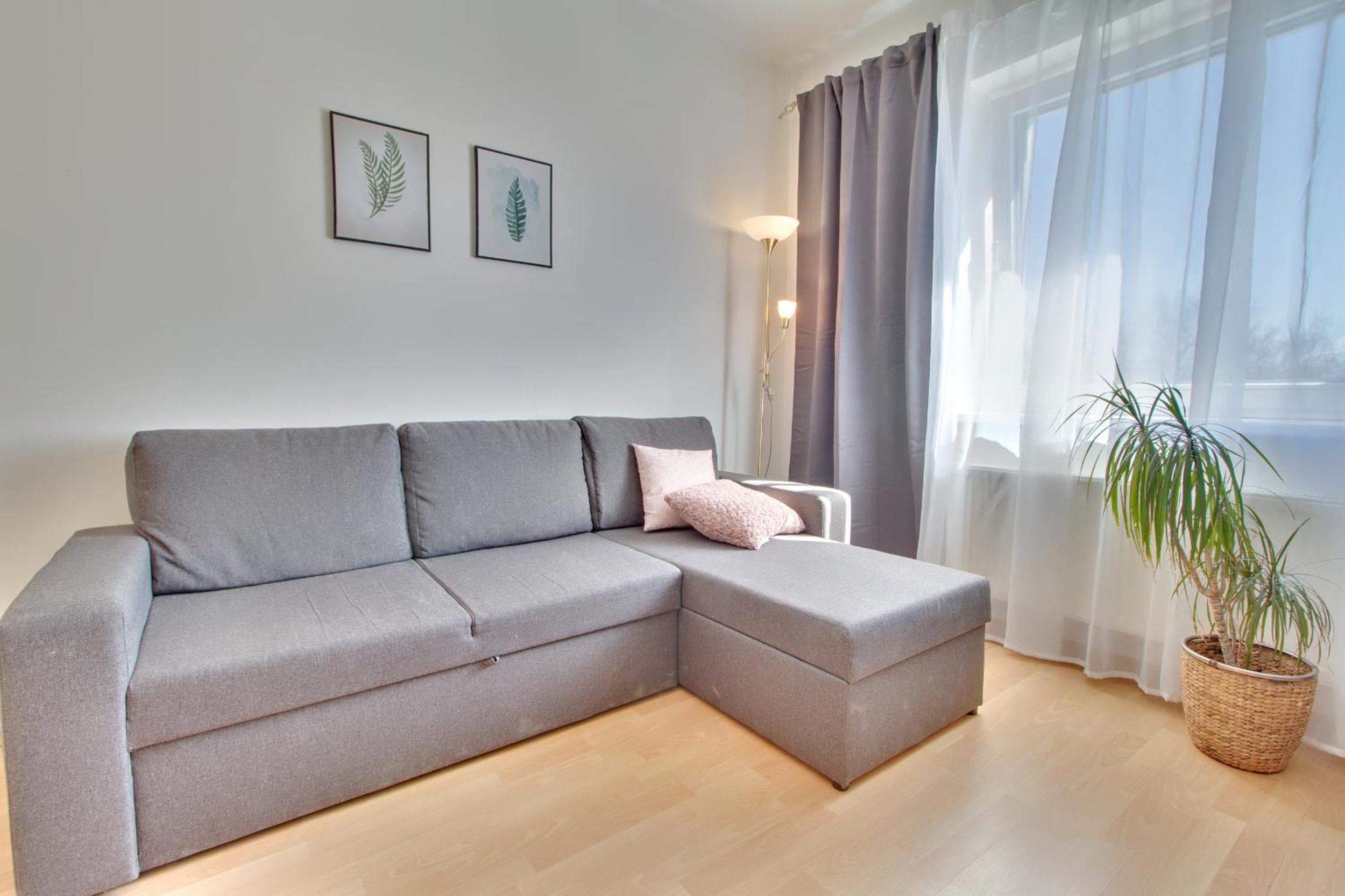 One-Bedroom Apartment photo 2