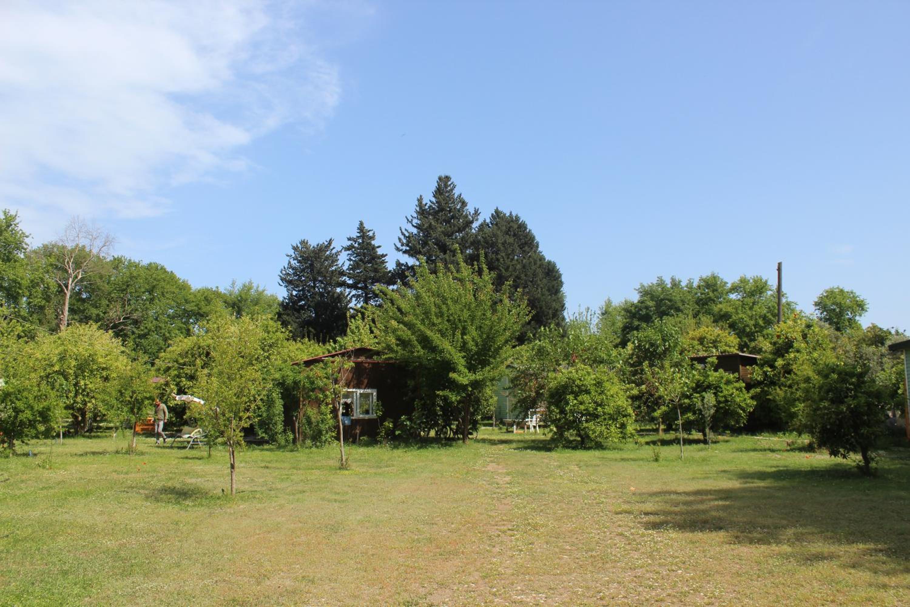 Deluxe Triple Room photo 2