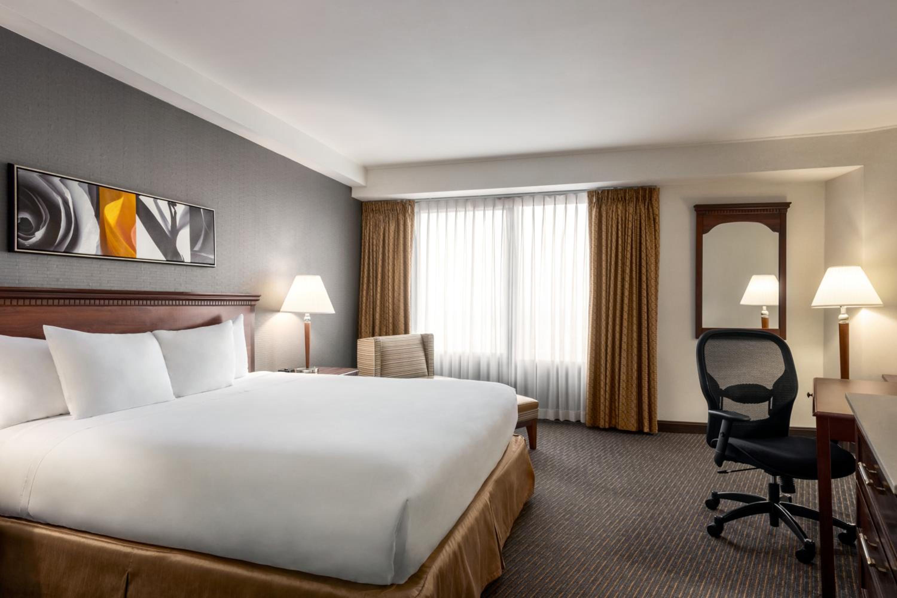 King Room photo 1