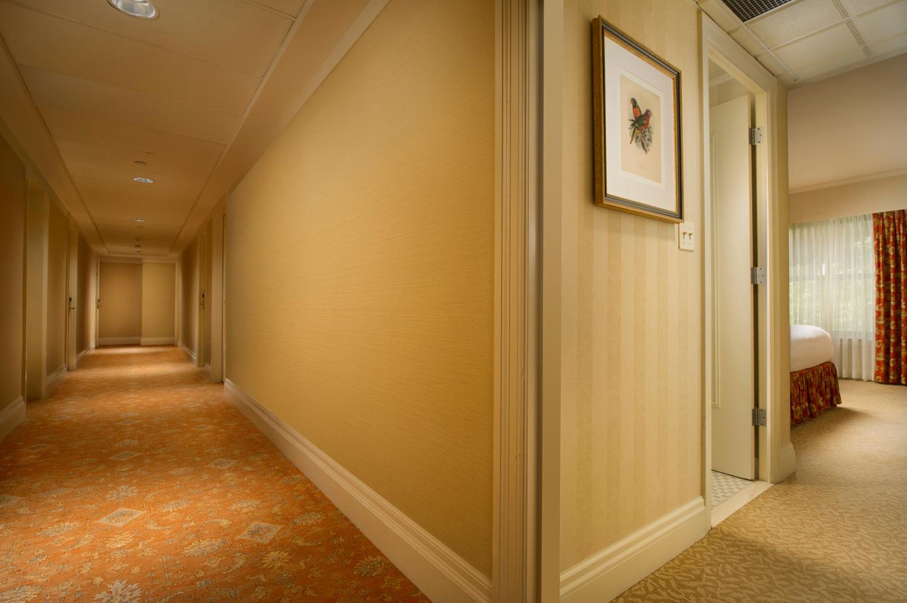 Queen Room - Photo 4