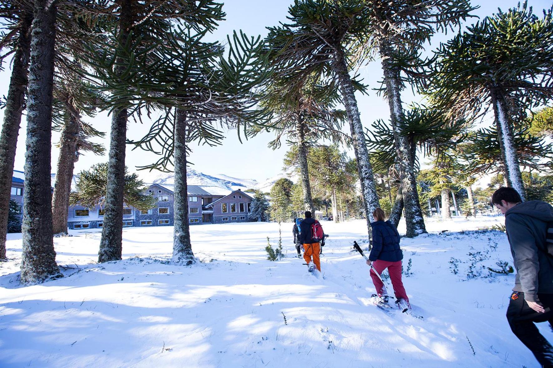 Mountain Package + Ski Pass  photo 1