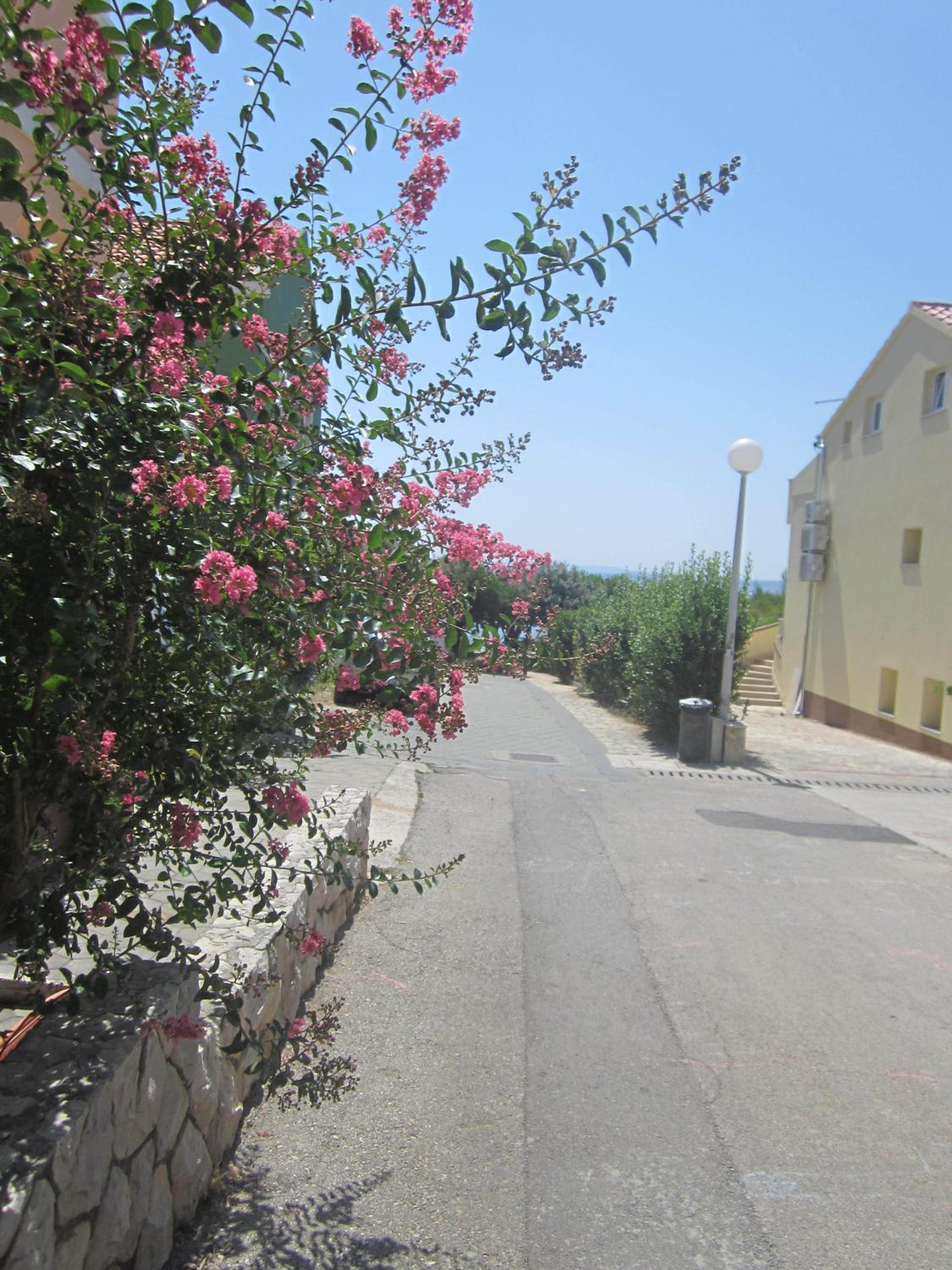 Studio with Terrace - Photo 6