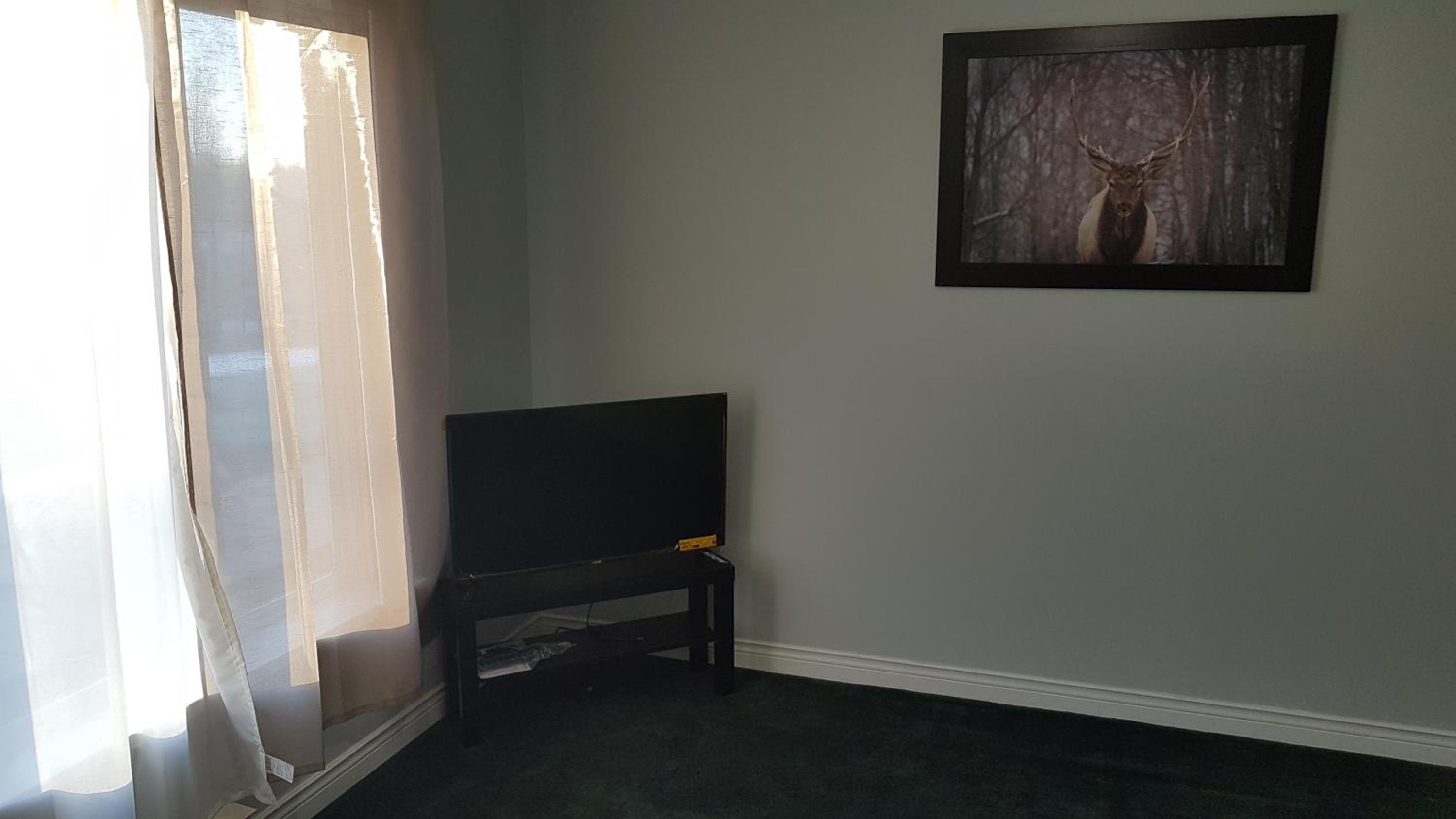 Two-Bedroom Suite - Photo 34