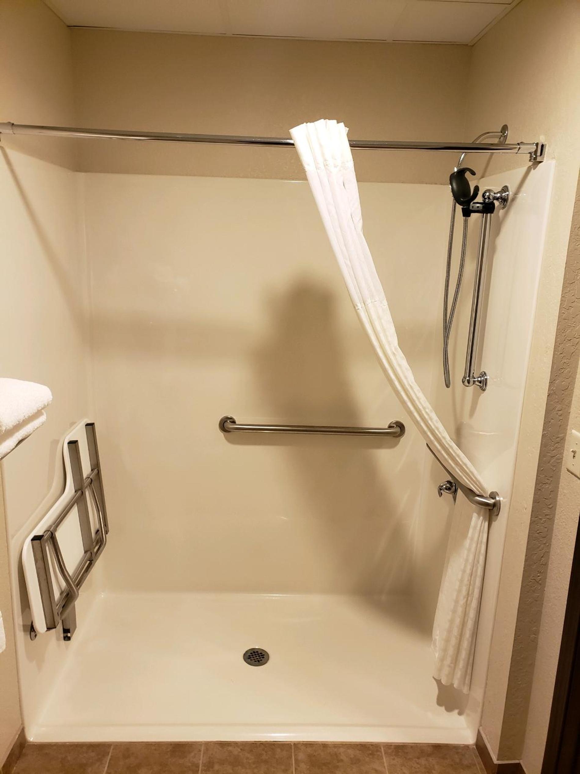 King Room with Roll-In Shower - Disability Access