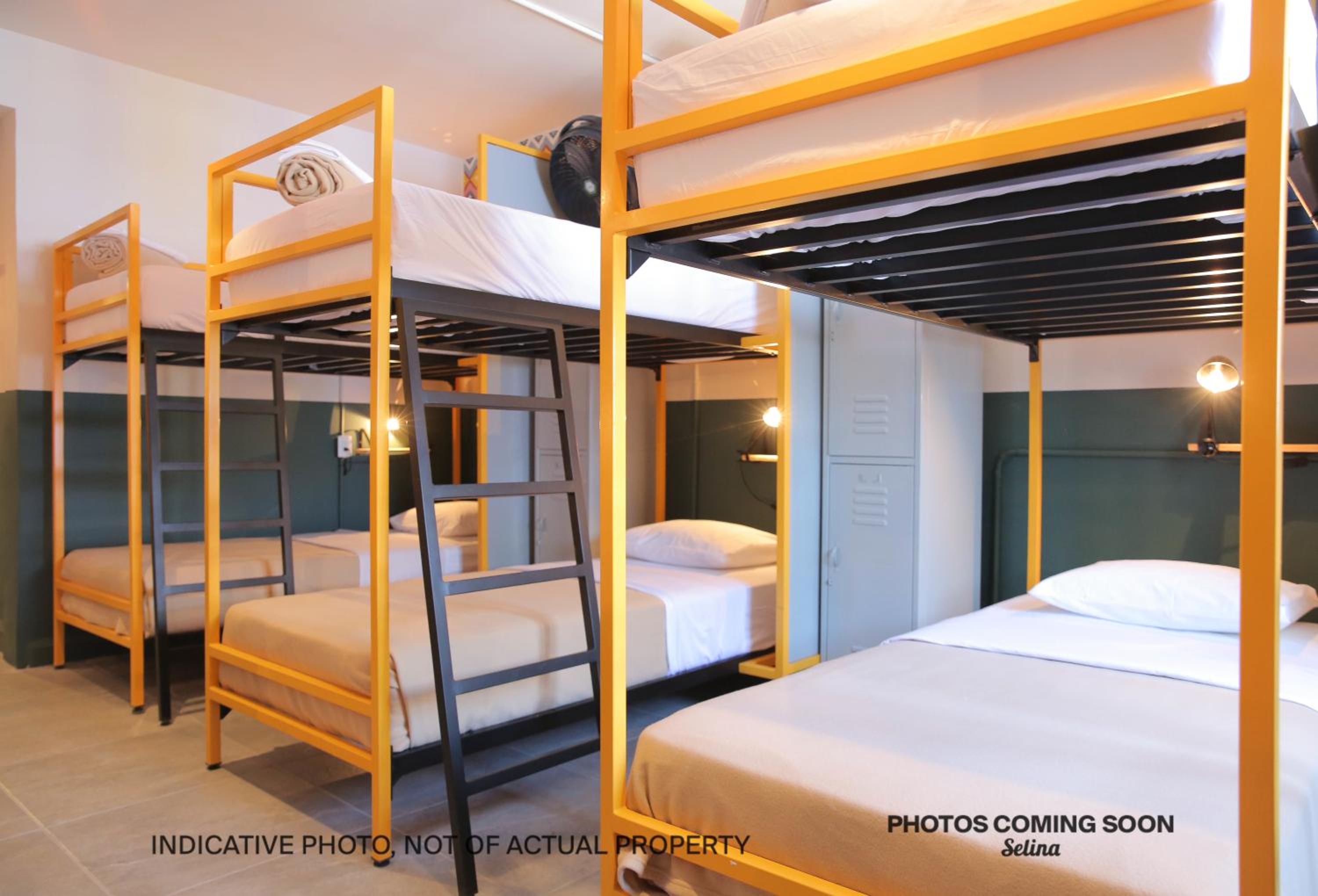 Bed In 10-Bed Mixed Dormitory Room