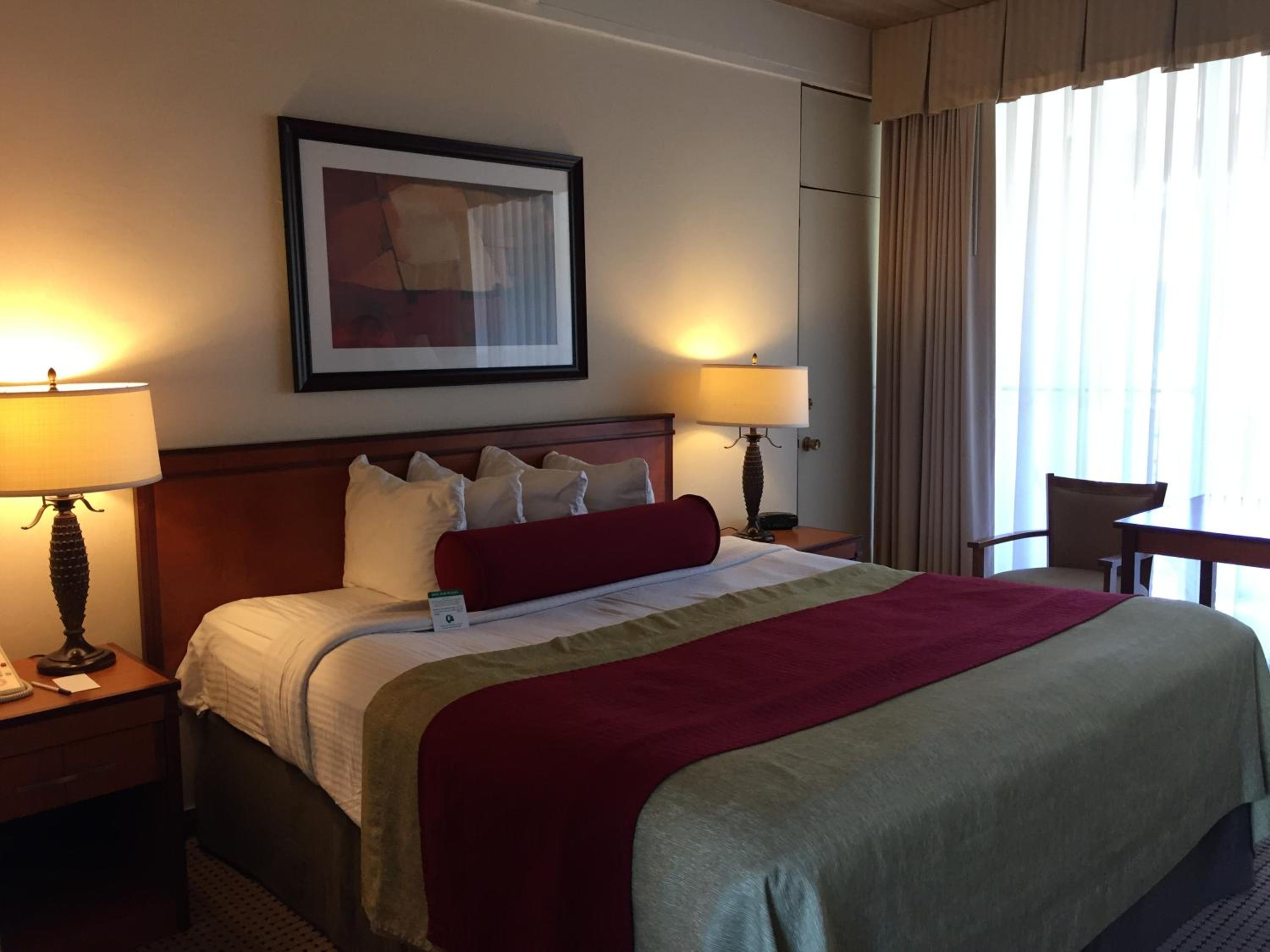 Standard King Room - Photo 6