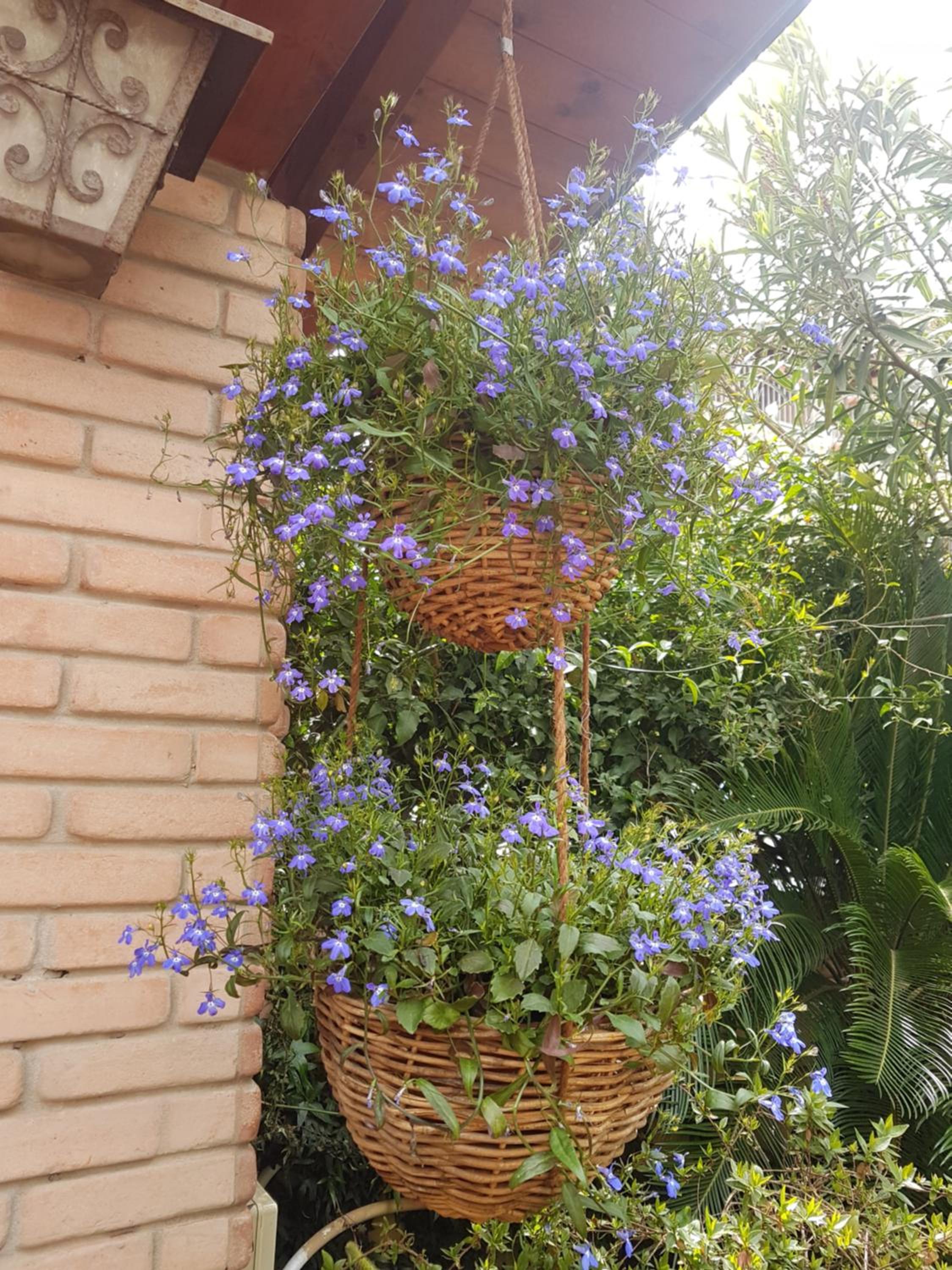 Vacation Home - Photo 39