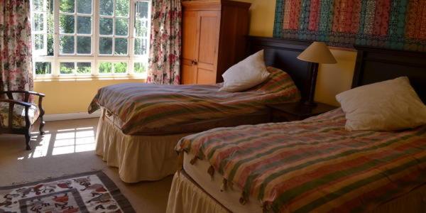 Comfort Villa - Photo 3