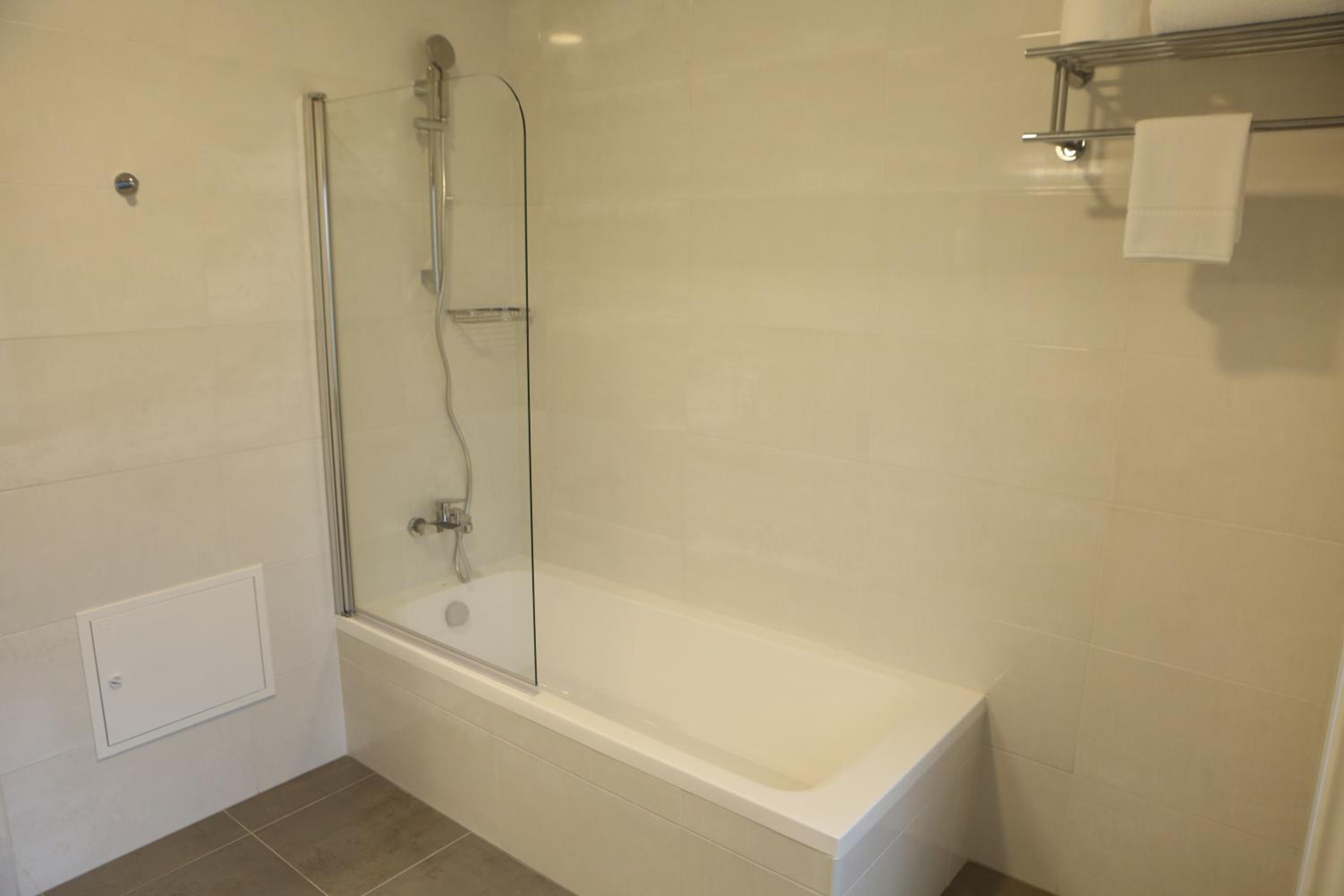 Deluxe King Suite - Photo 9