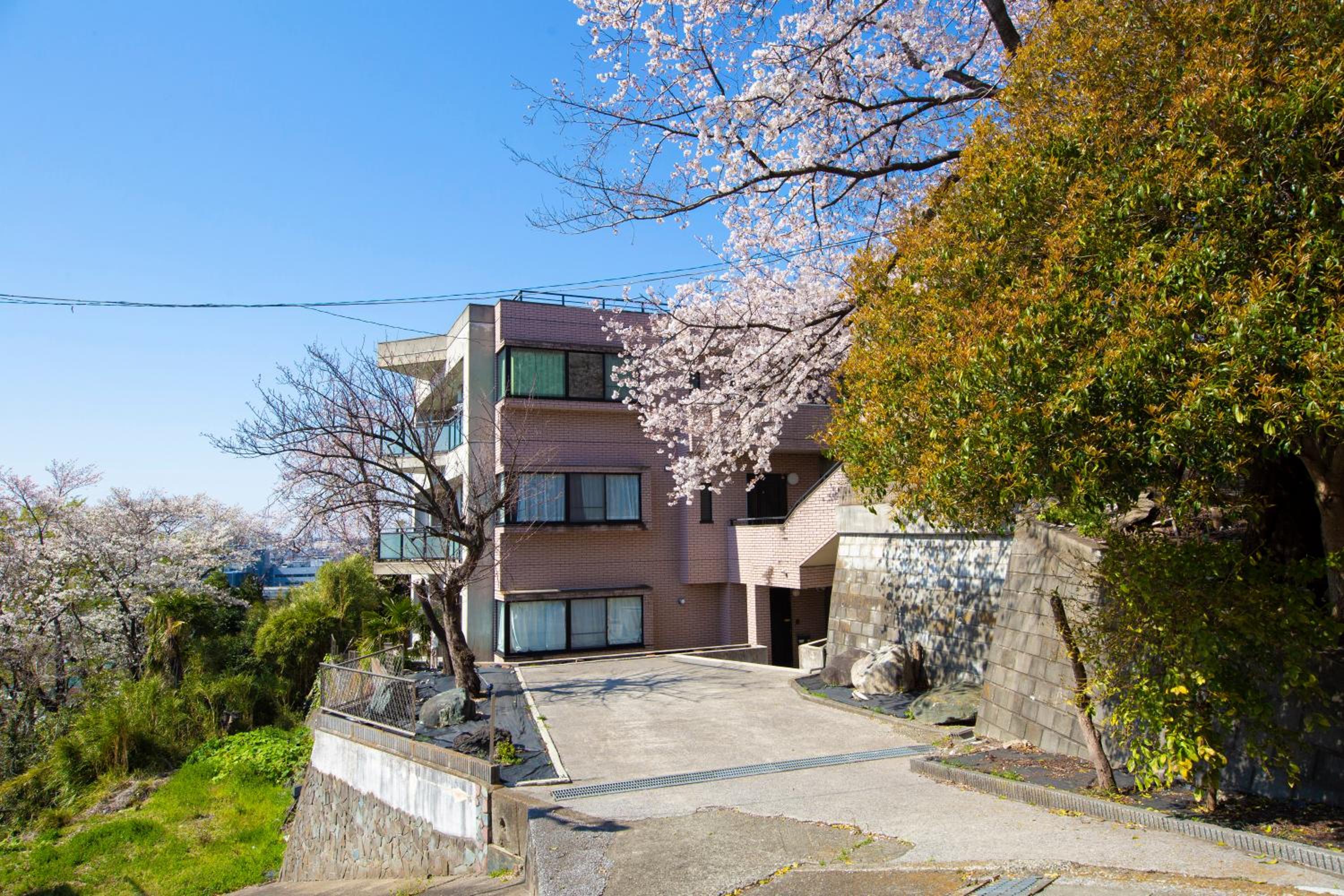 Apartment - Photo 15