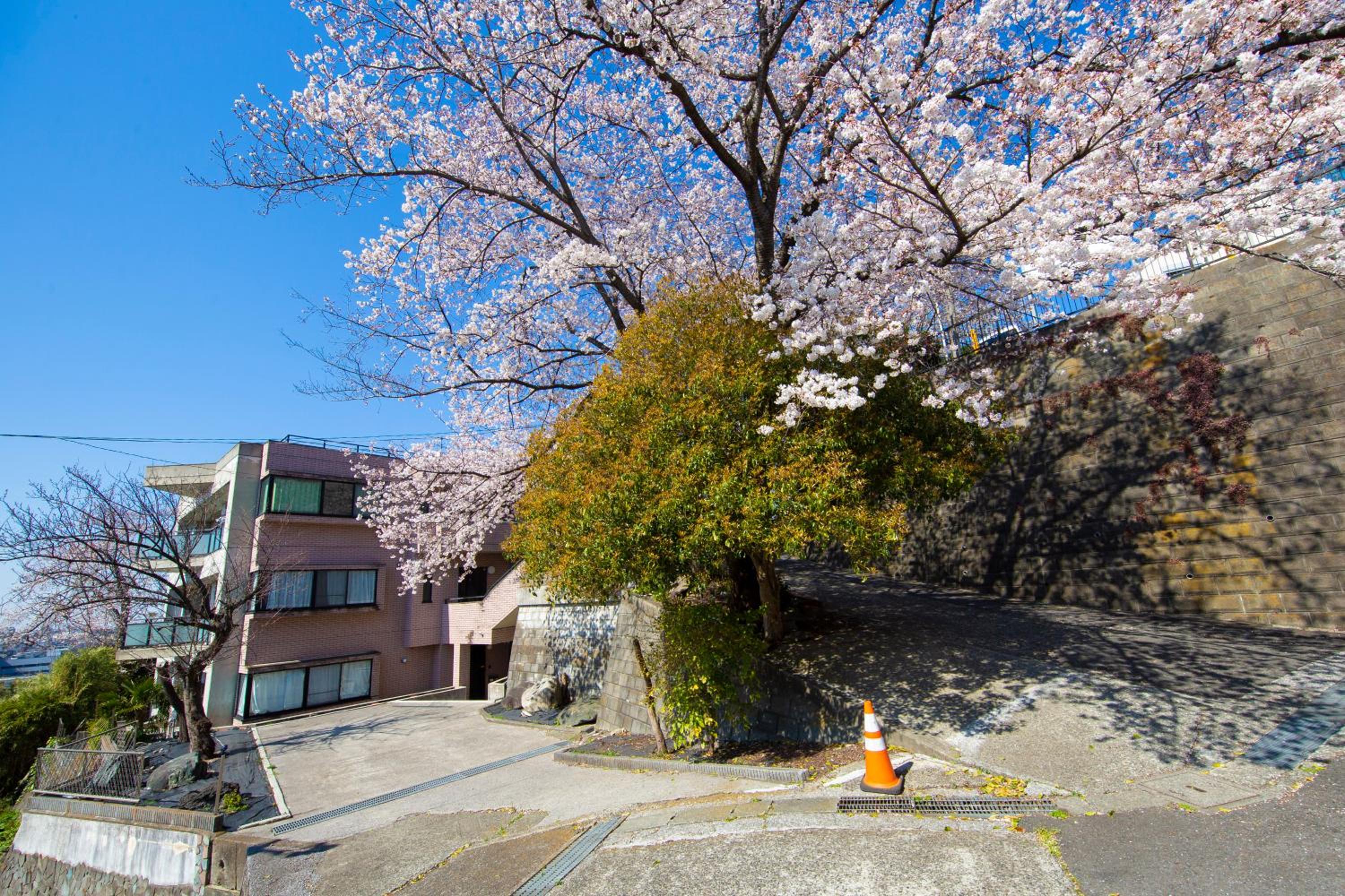 Apartment - Photo 91
