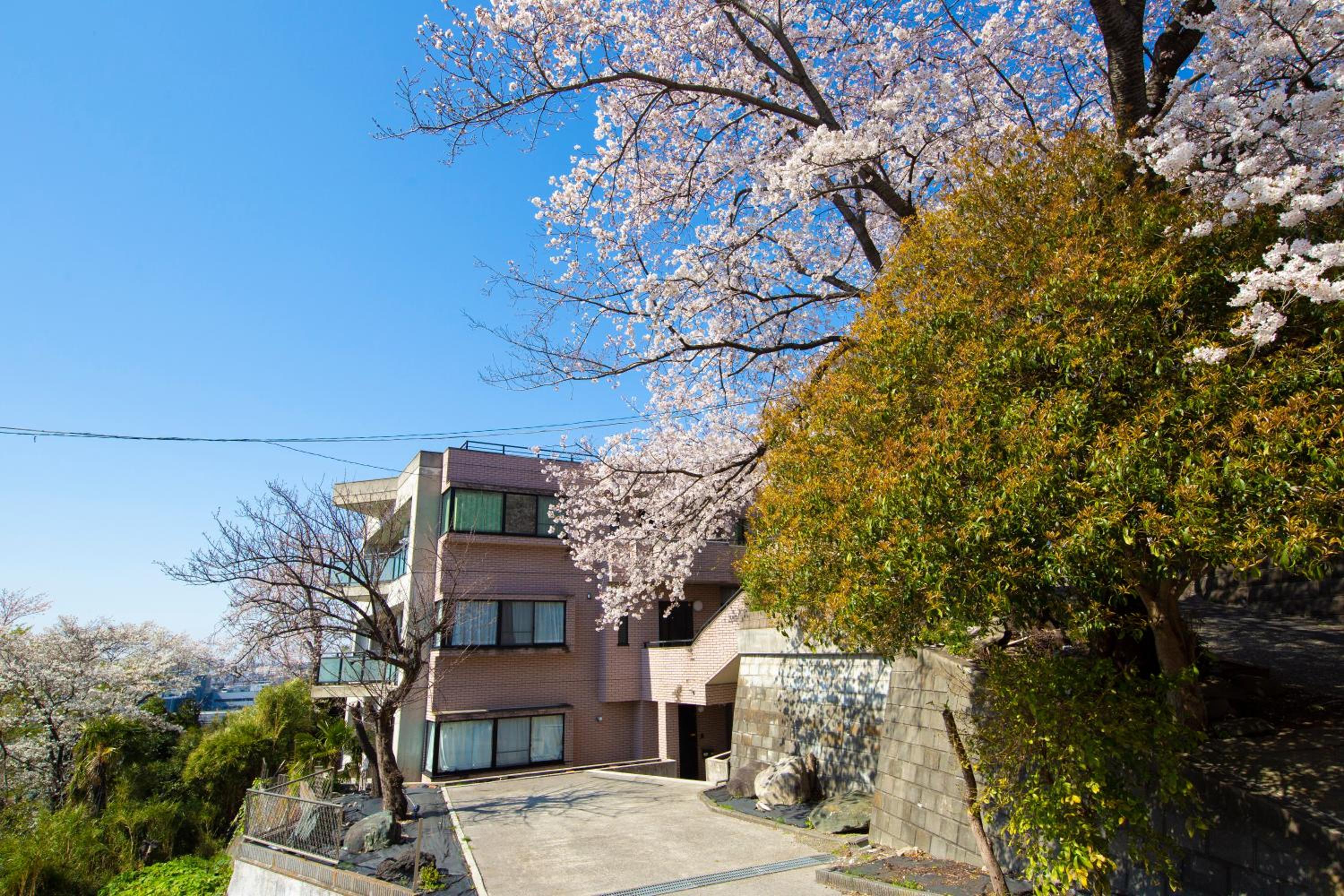 Apartment - Photo 90