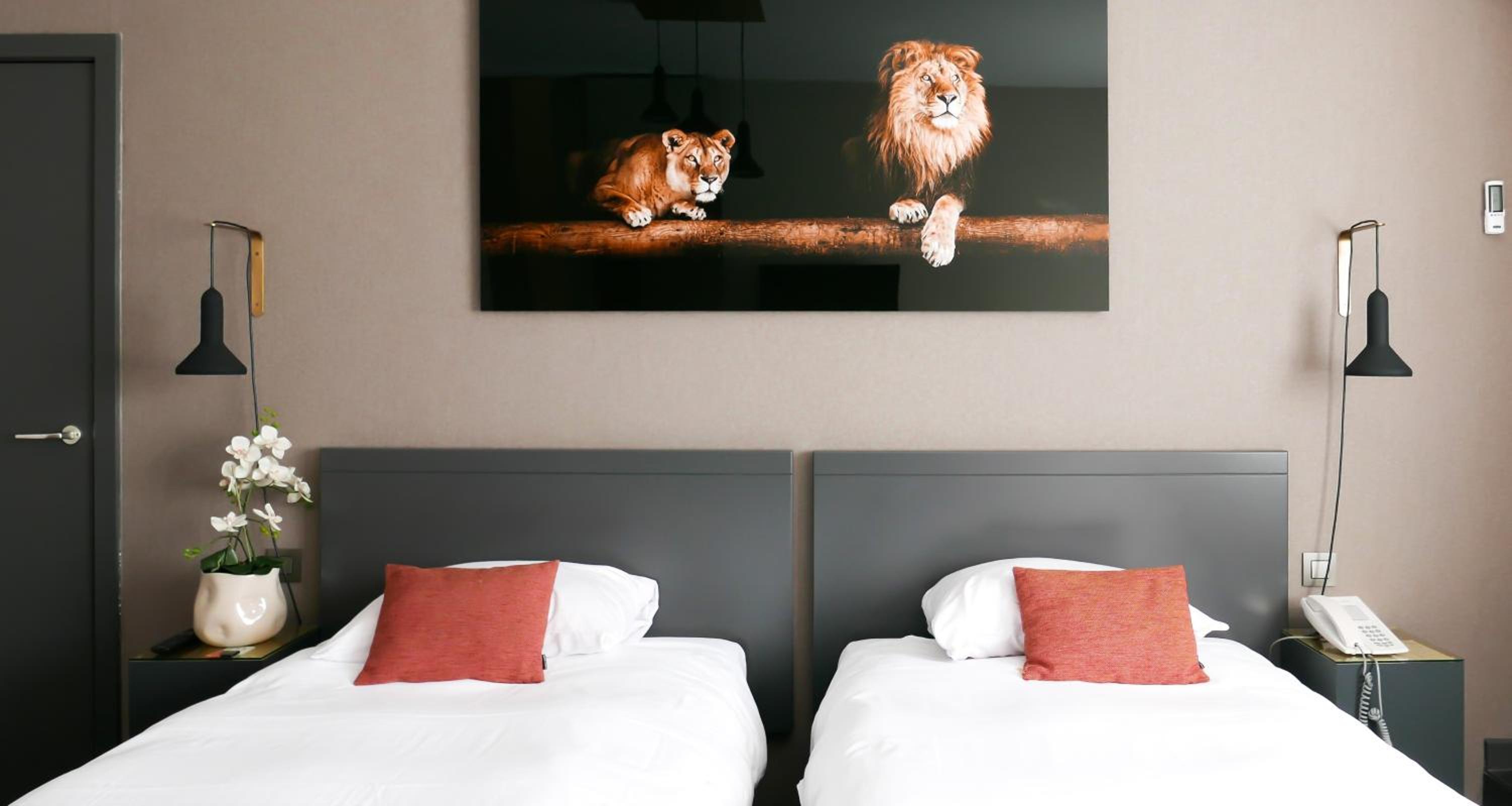 Twin Room photo 1