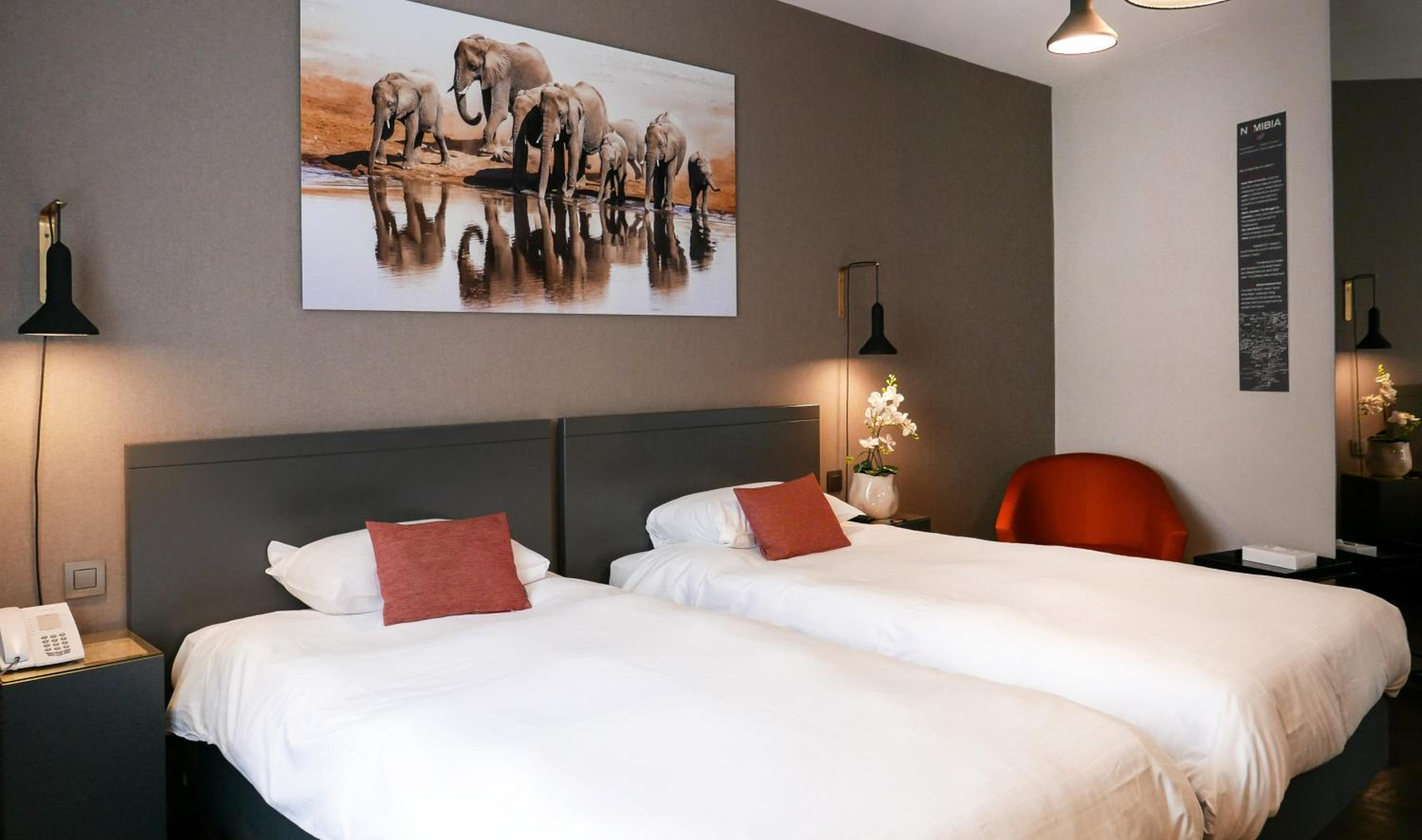 Twin Room photo 2