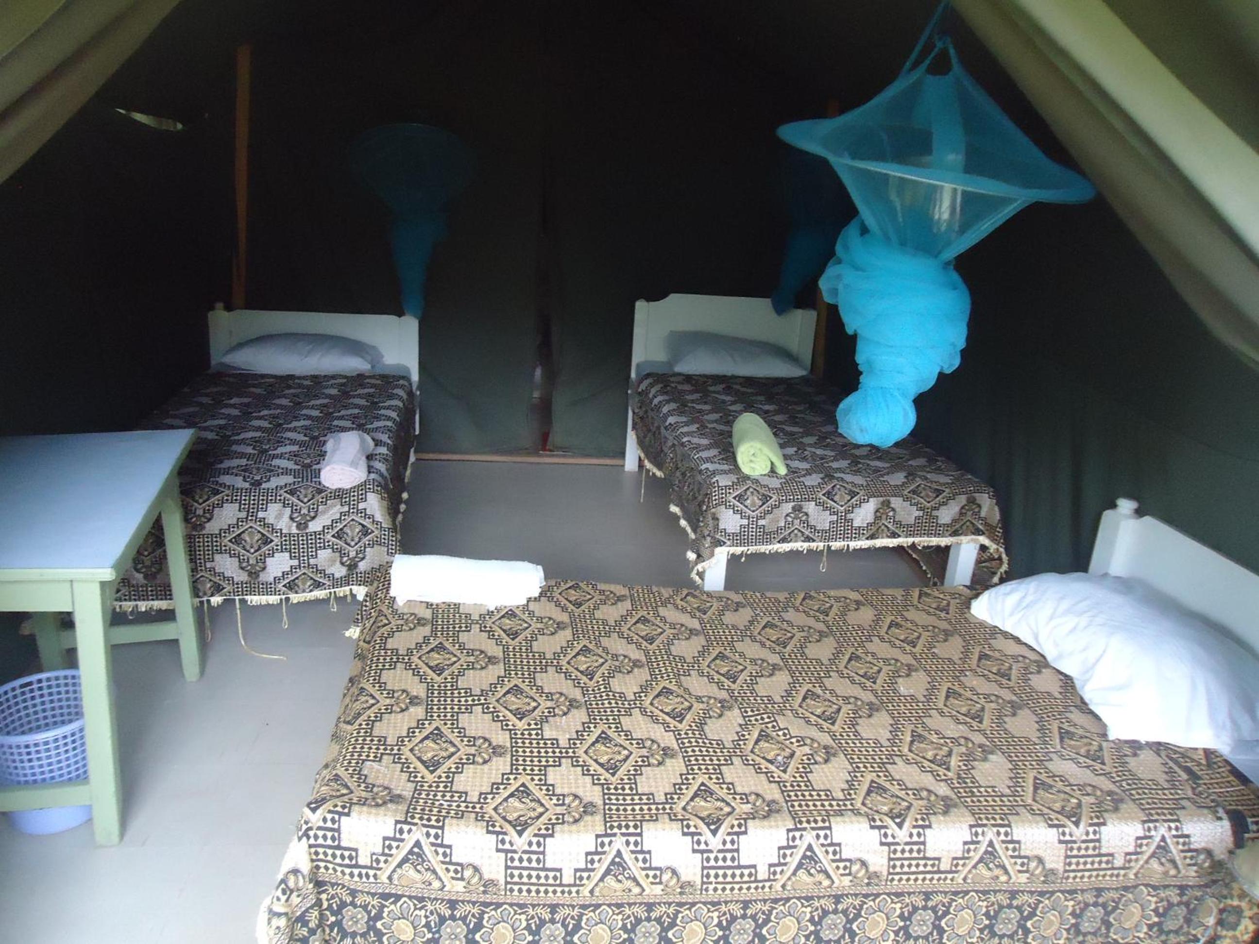 Tent photo 2