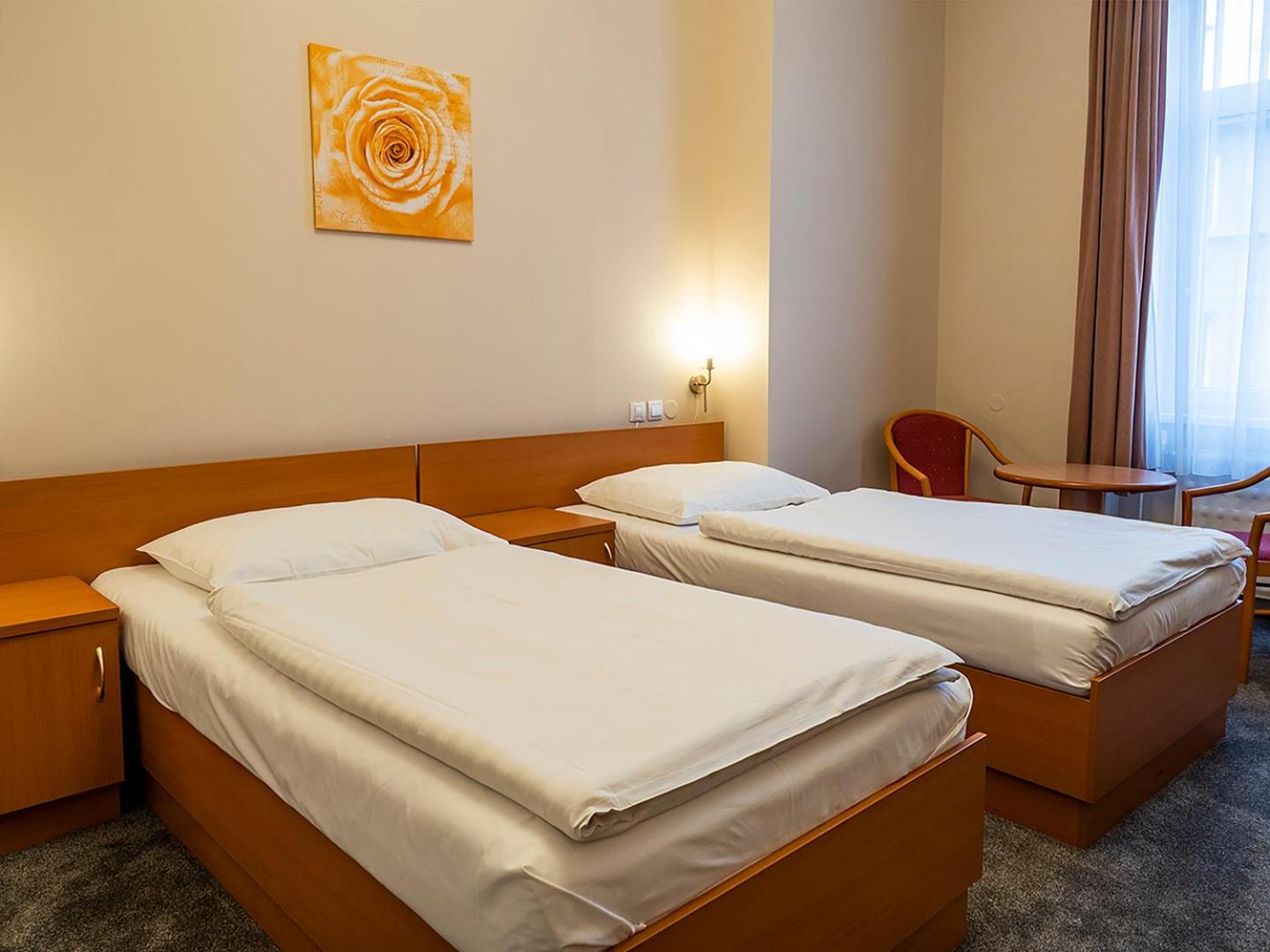 Twin Room photo 2