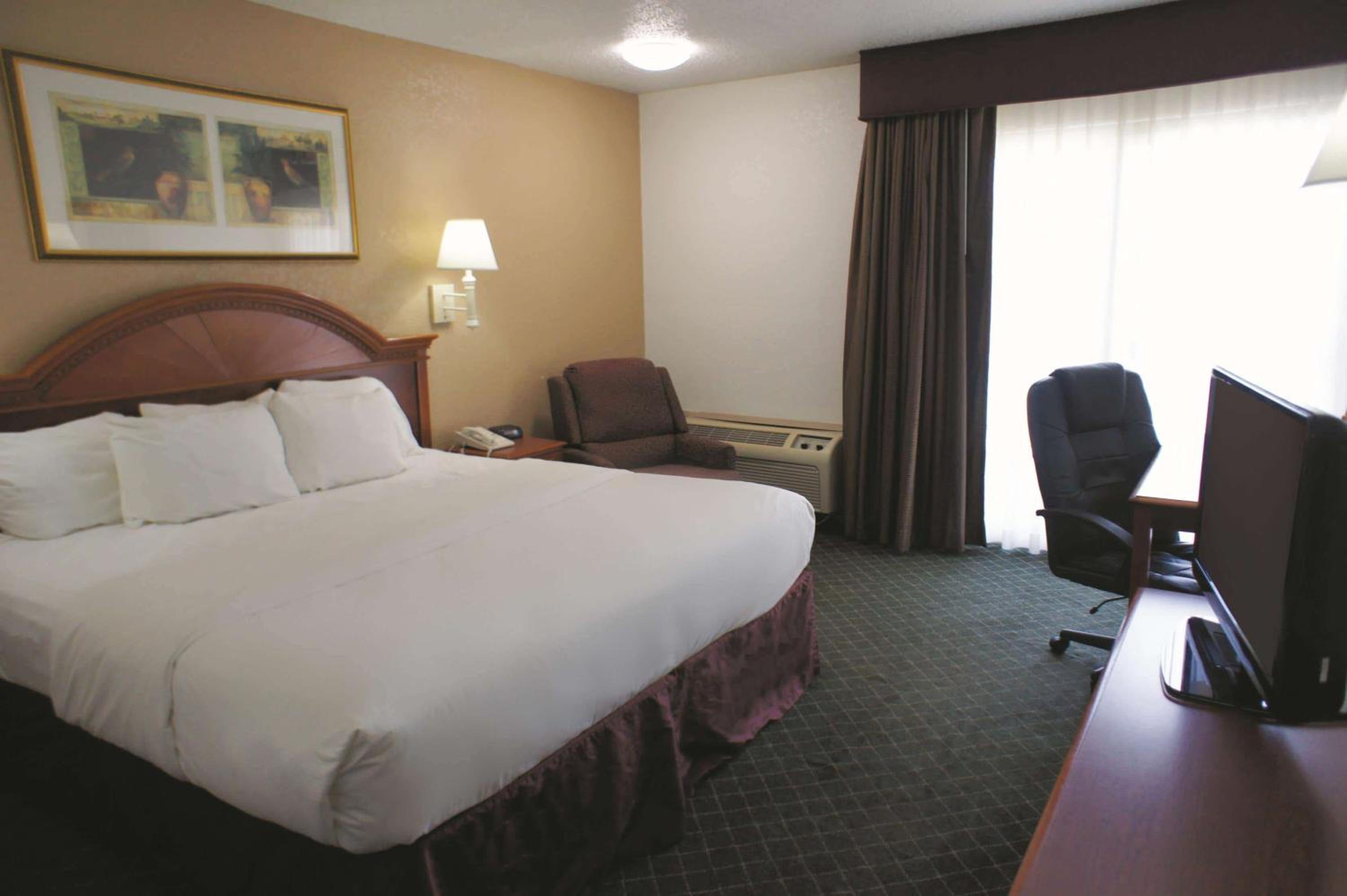 King Room photo 1