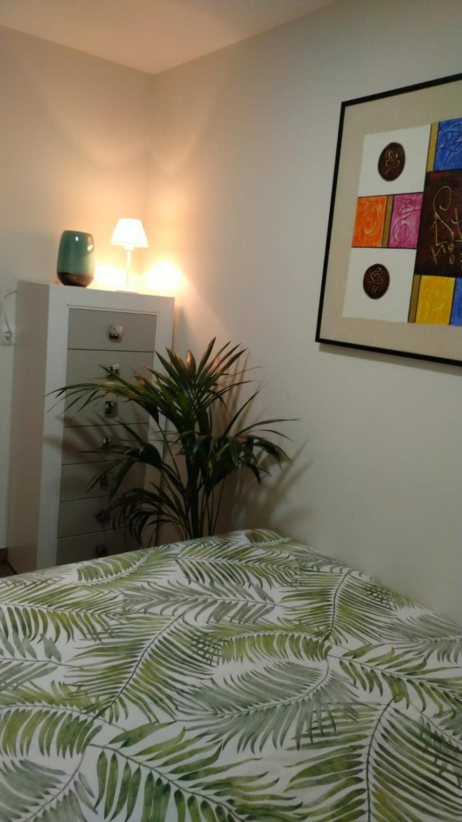 Superior Apartment - Photo 6