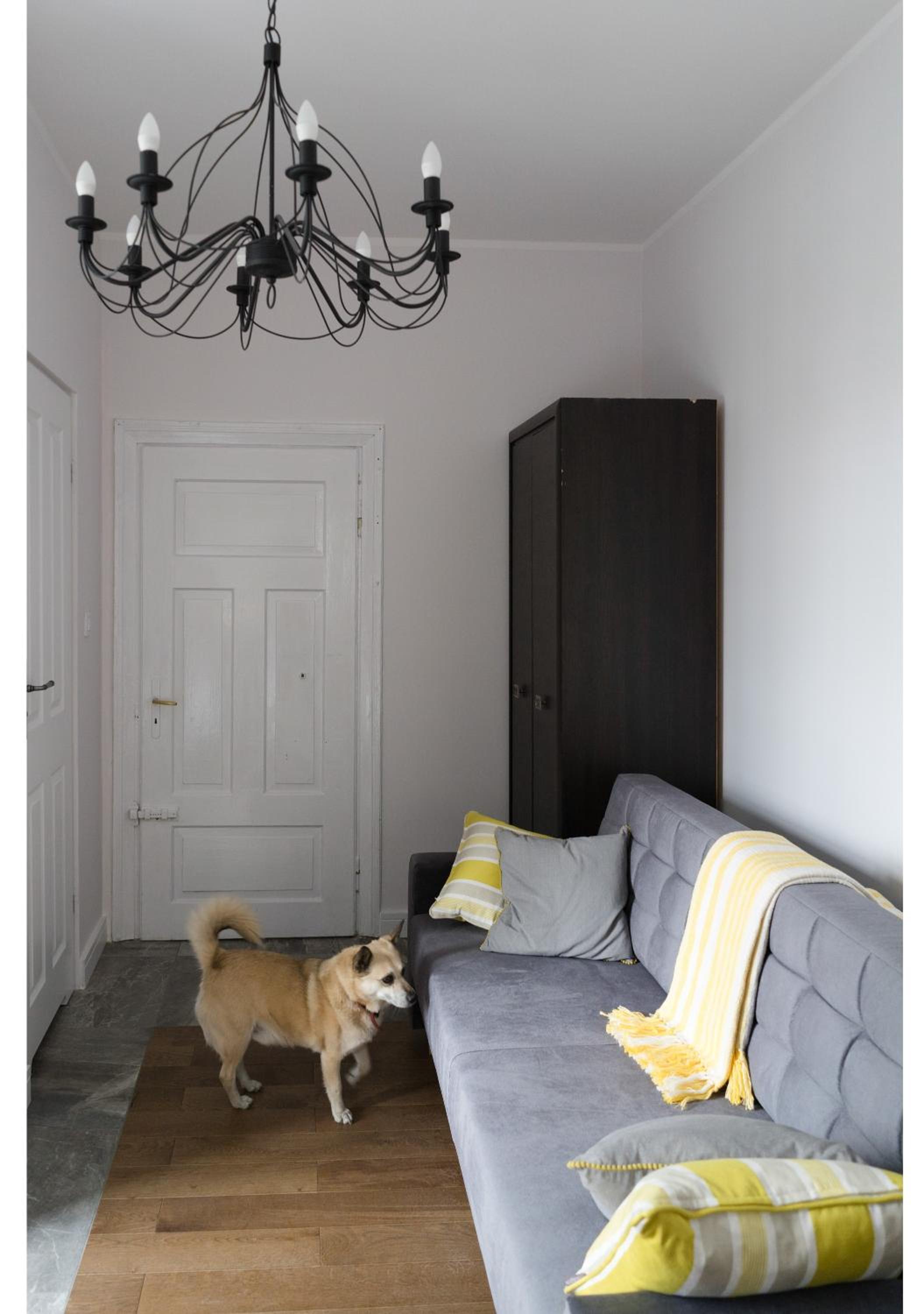 Studio Apartment - Photo 7