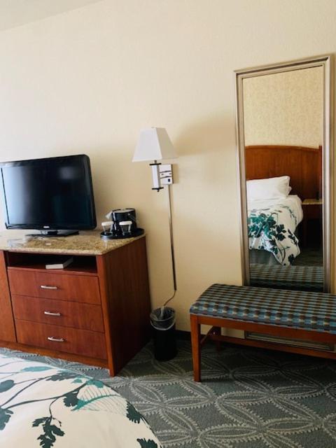 Deluxe King Room - Non-Smoking - Photo 3