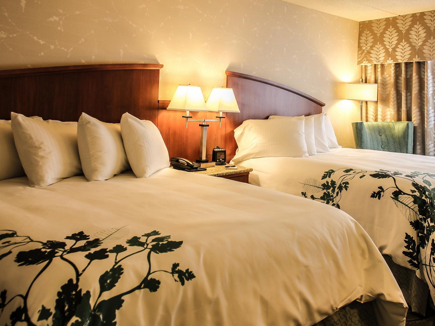 Queen Room with Two Queen Beds - Non-Smoking - Photo 2