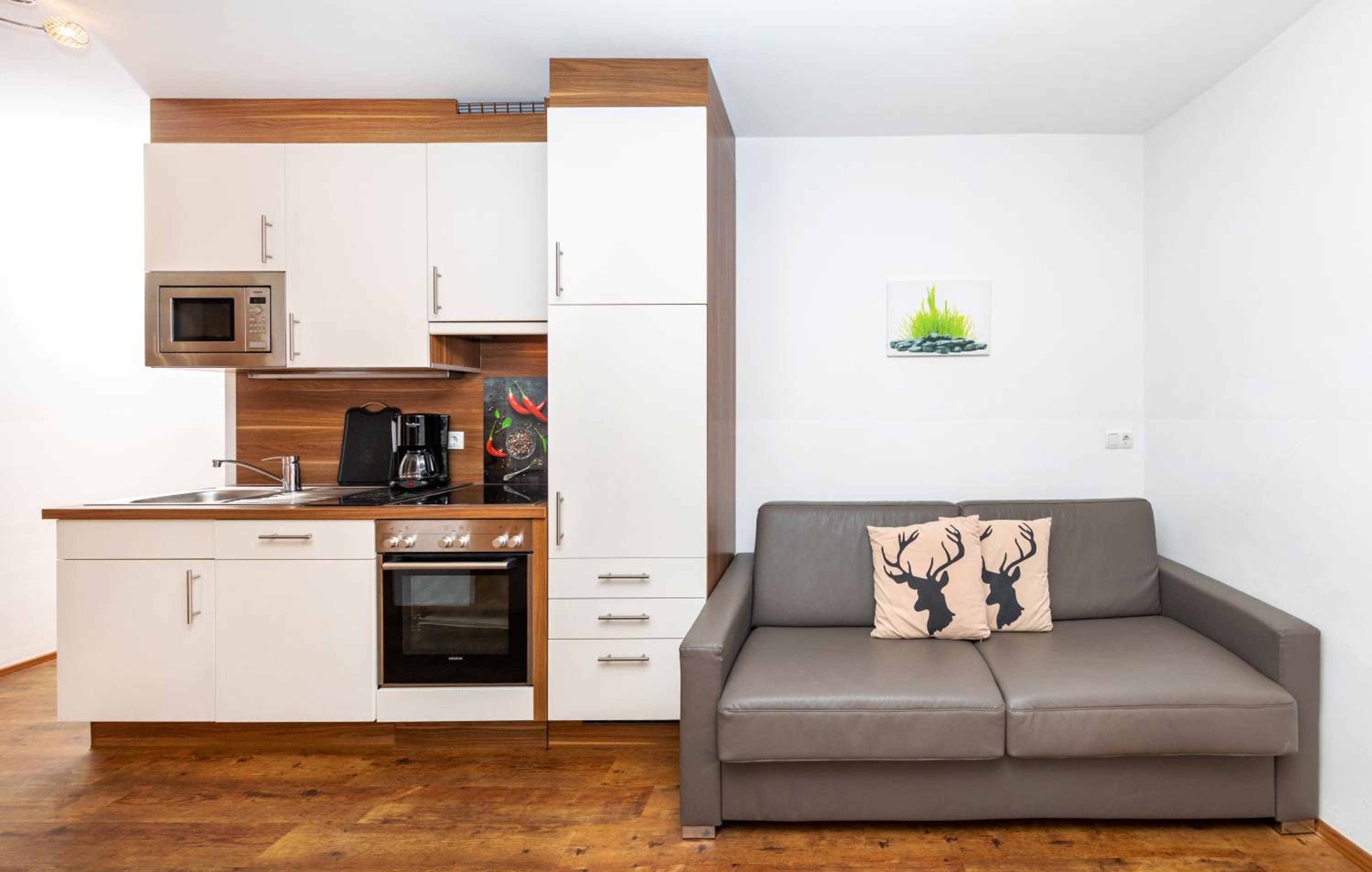 Comfort One-Bedroom Apartment with Balcony and Mountain View - Photo 9
