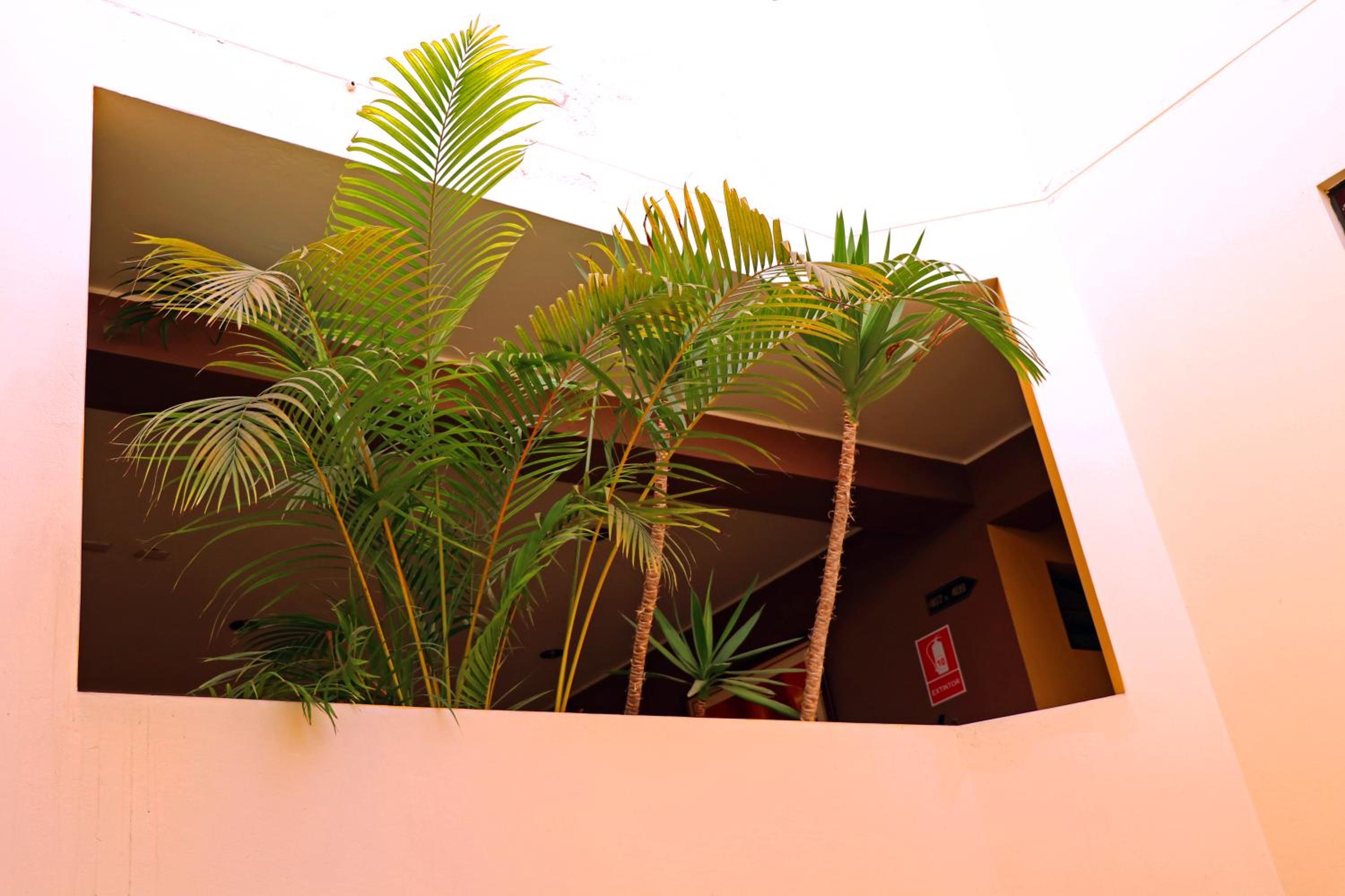 Double Room - Photo 25