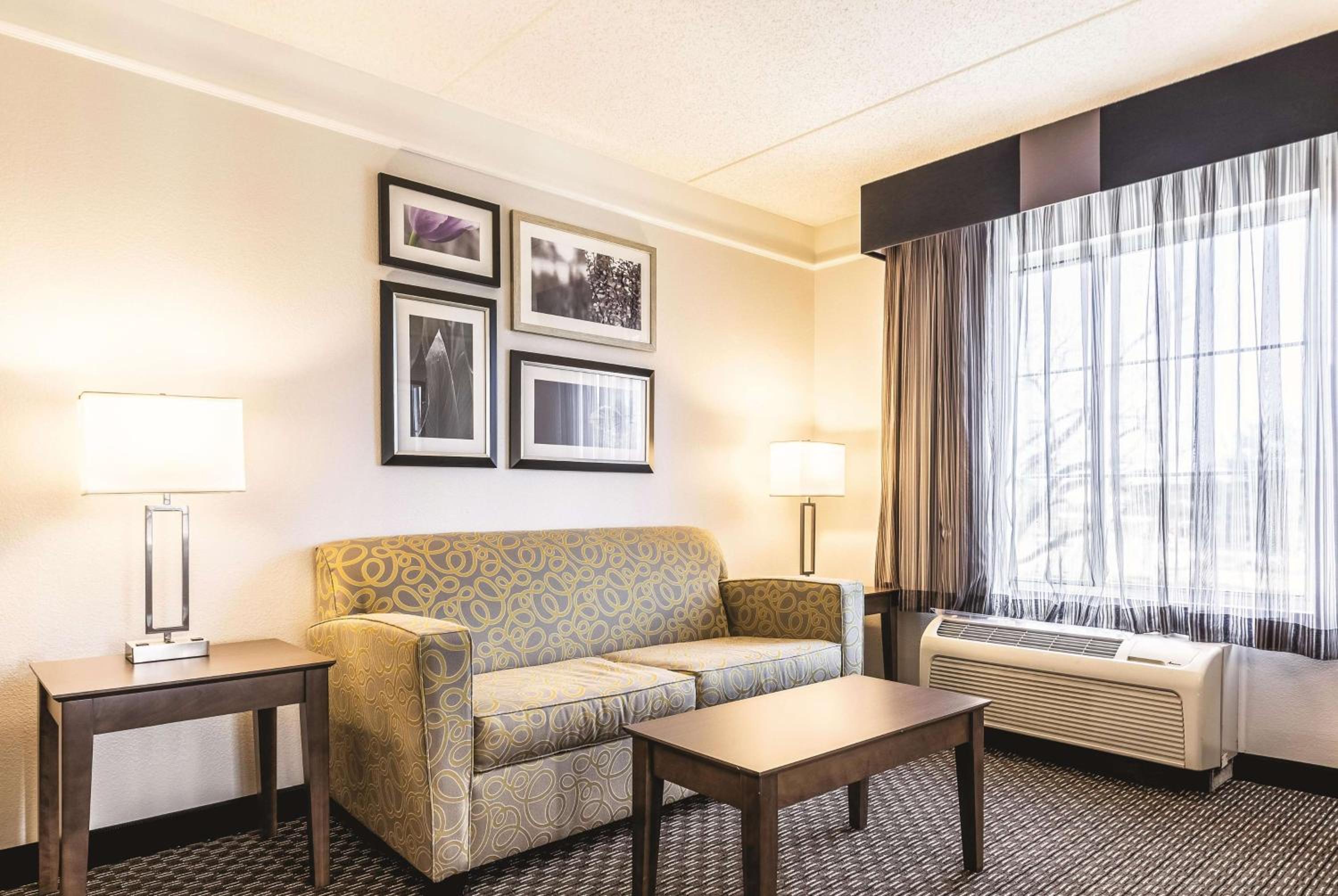 Suite - Photo 1