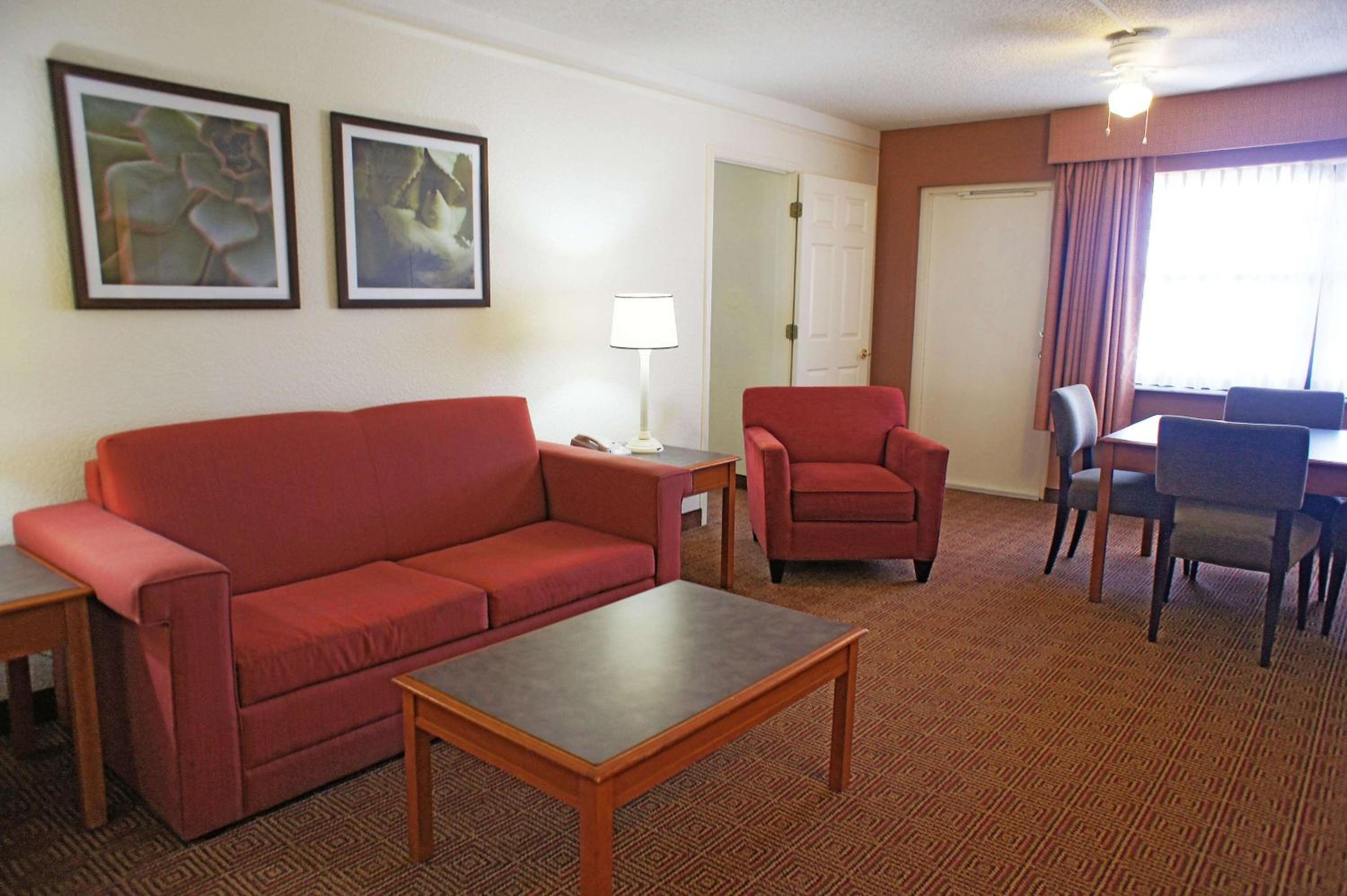 One-Bedroom King Apartment - Non-Smoking photo 1