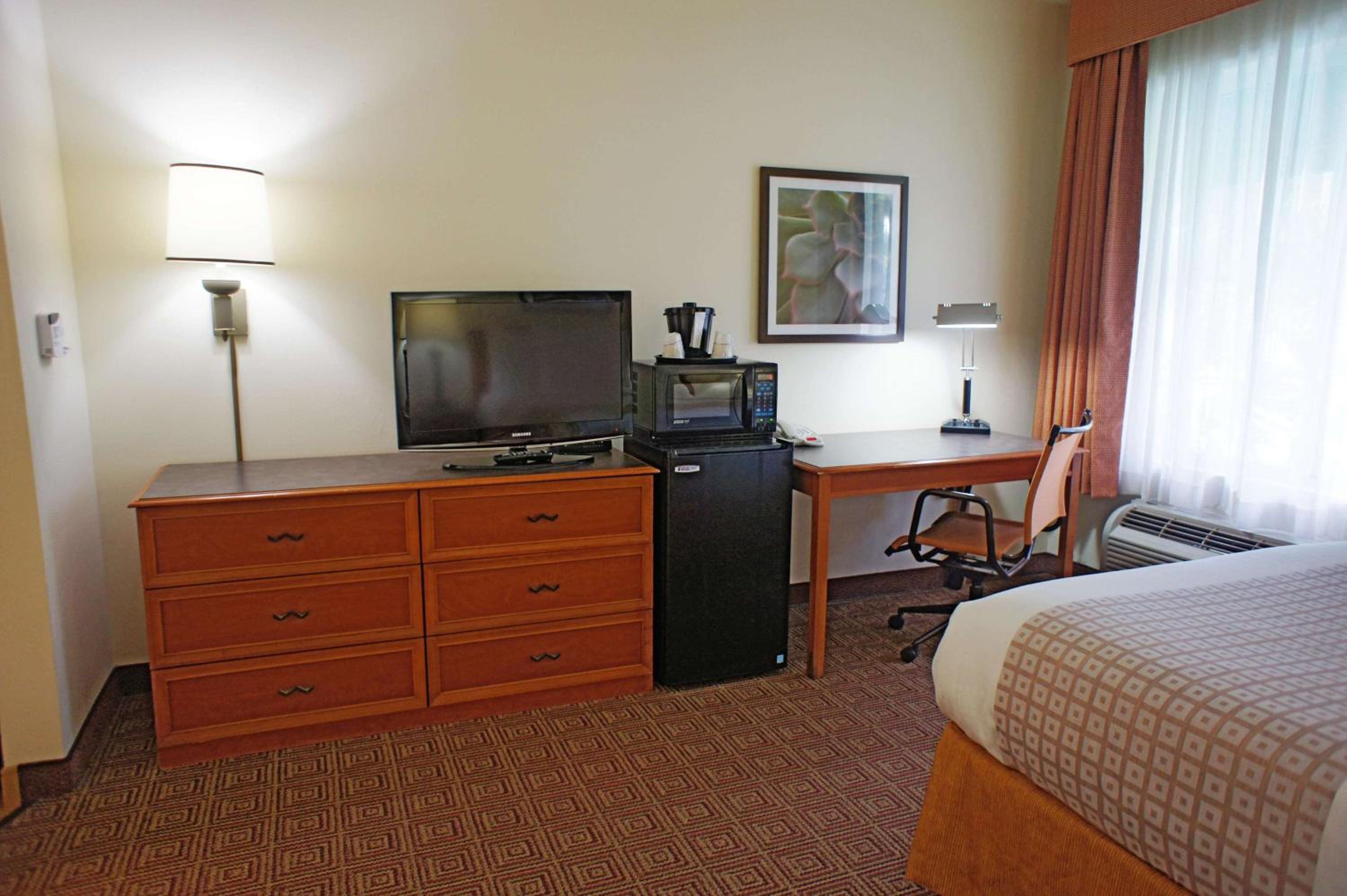 Single Room - Disability Access - Photo 1