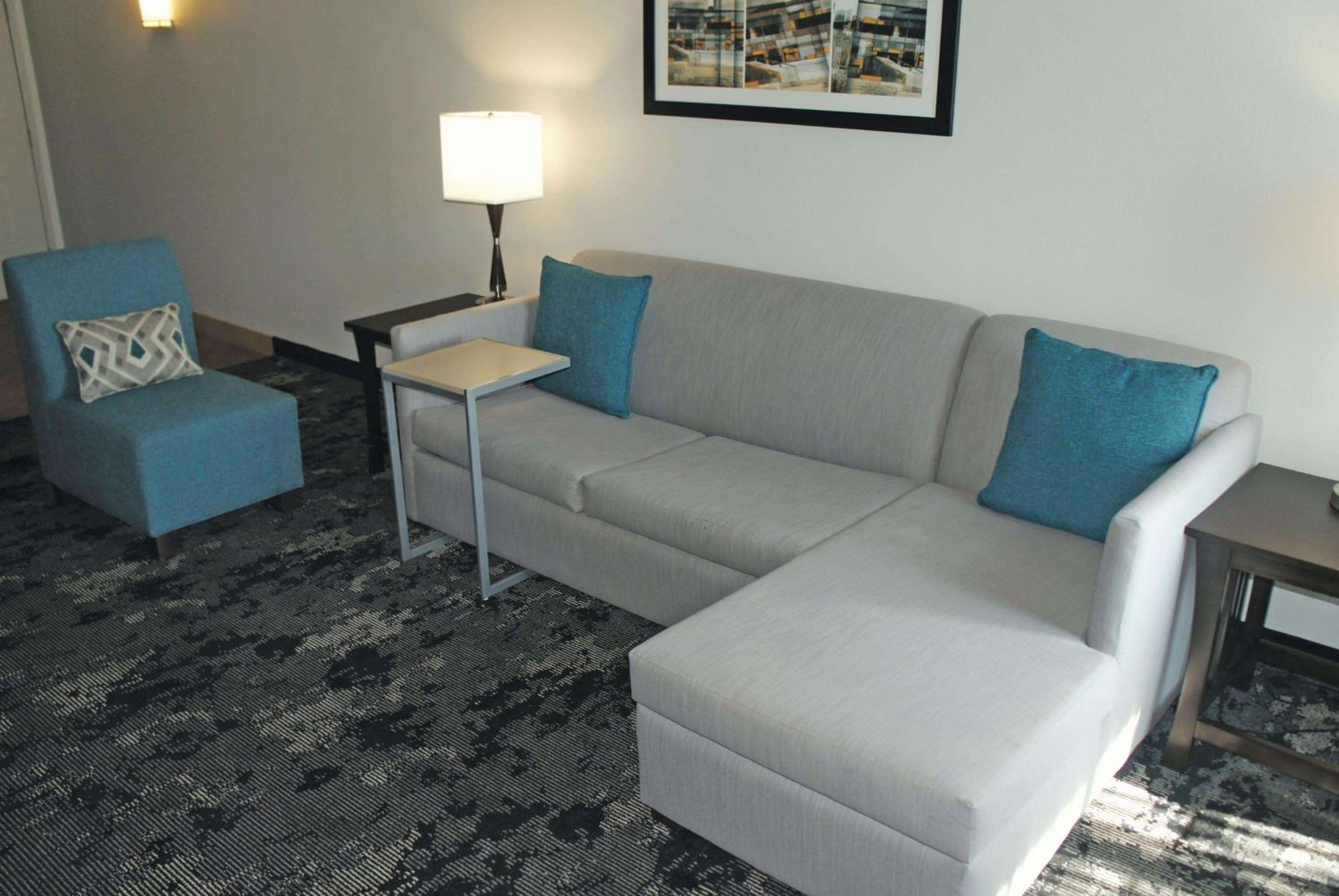 Deluxe King Suite - Non-Smoking - Photo 2
