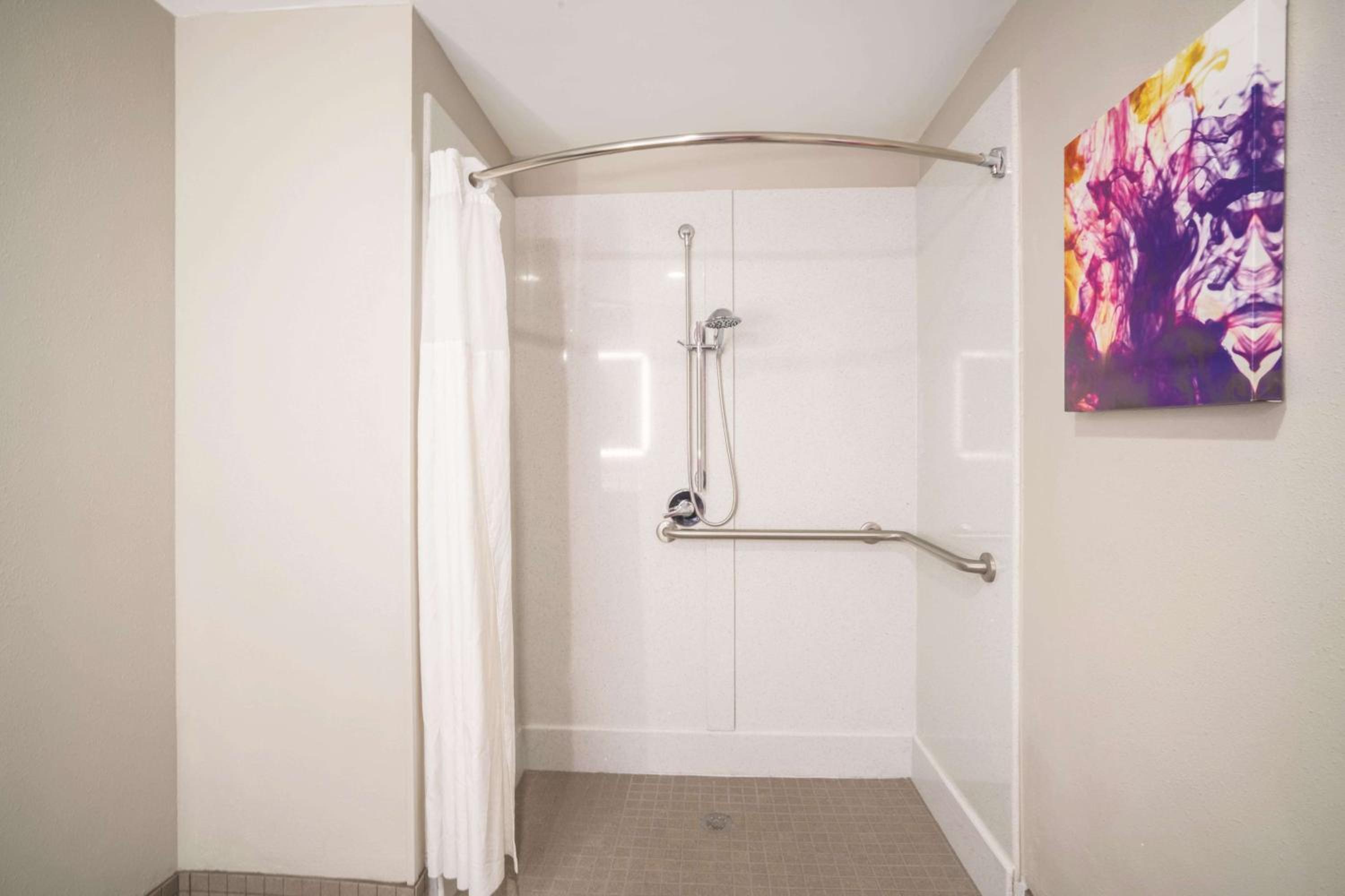 King Room with Roll-in Shower - Mobility Access/Non-Smoking - Photo 3
