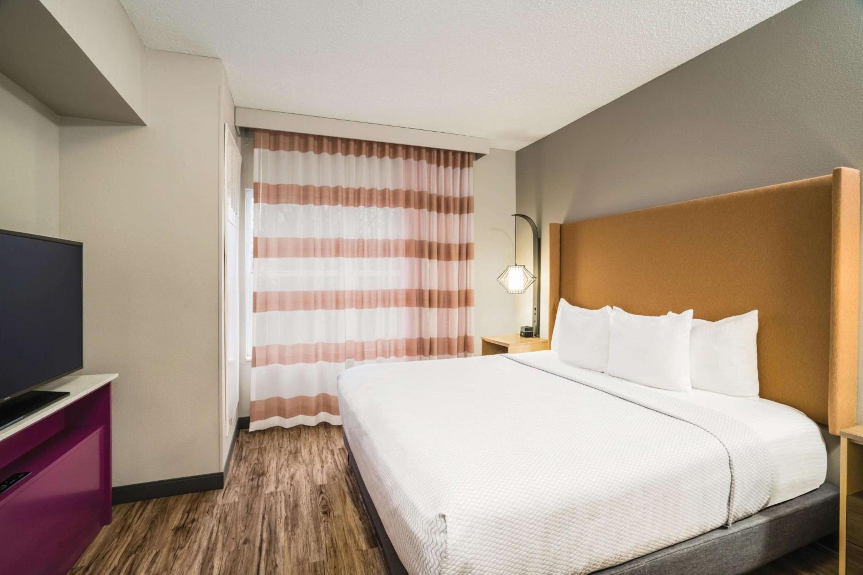 1 King Bed, Sofa Bed, 2-Room Suite, Non-Smoking - Photo 1