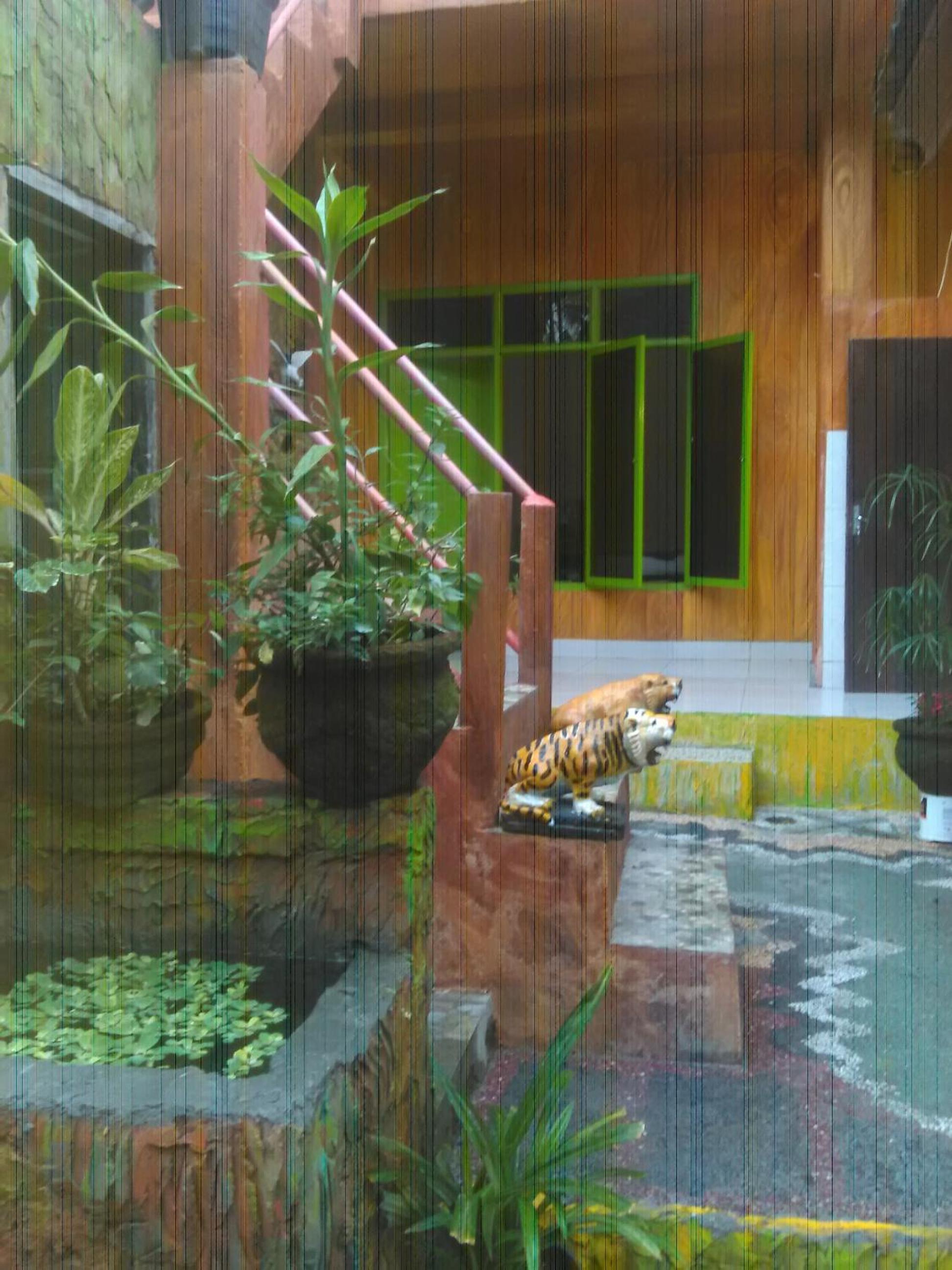 Double Room - Photo 14
