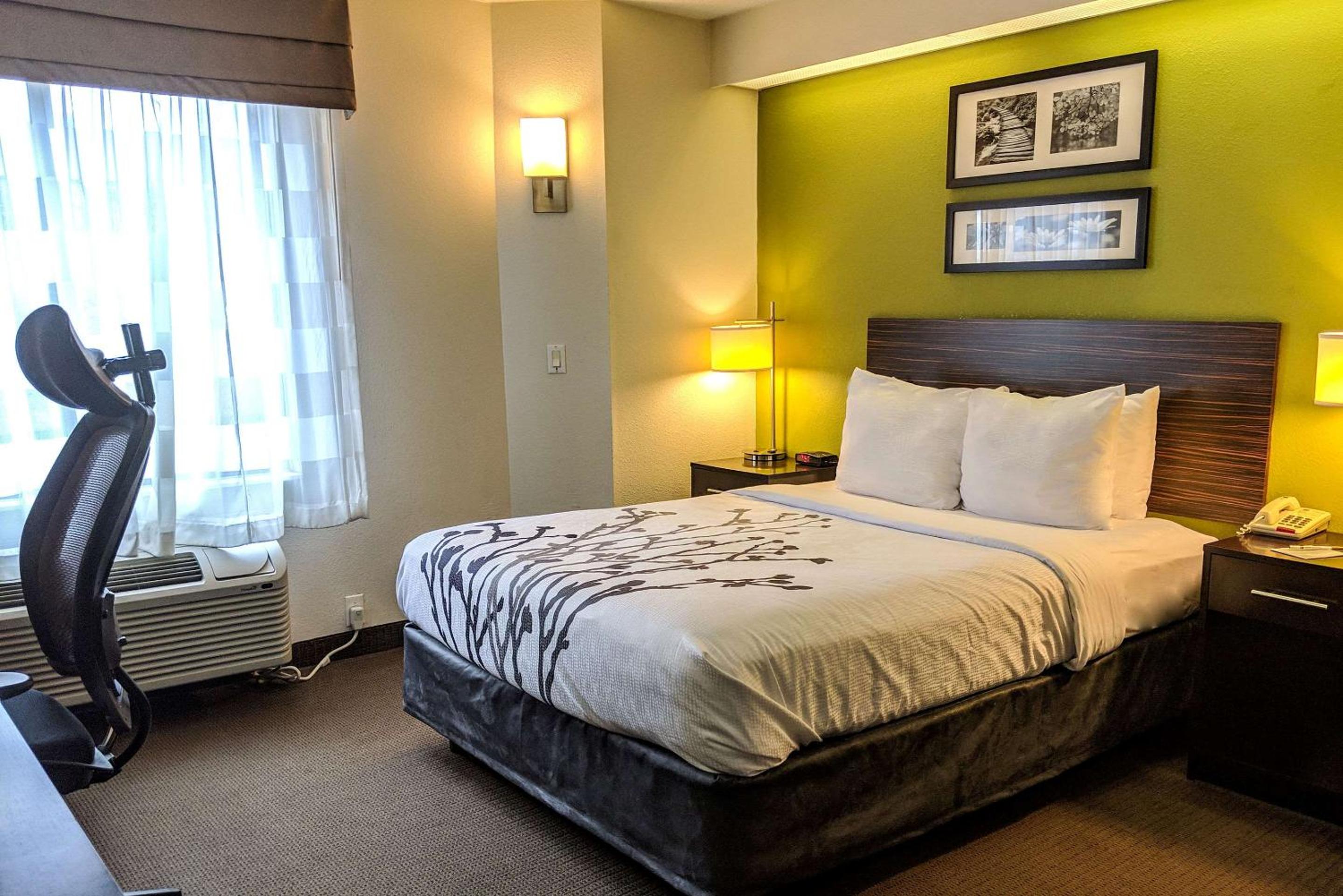 Queen Room - Non-Smoking - Photo 1
