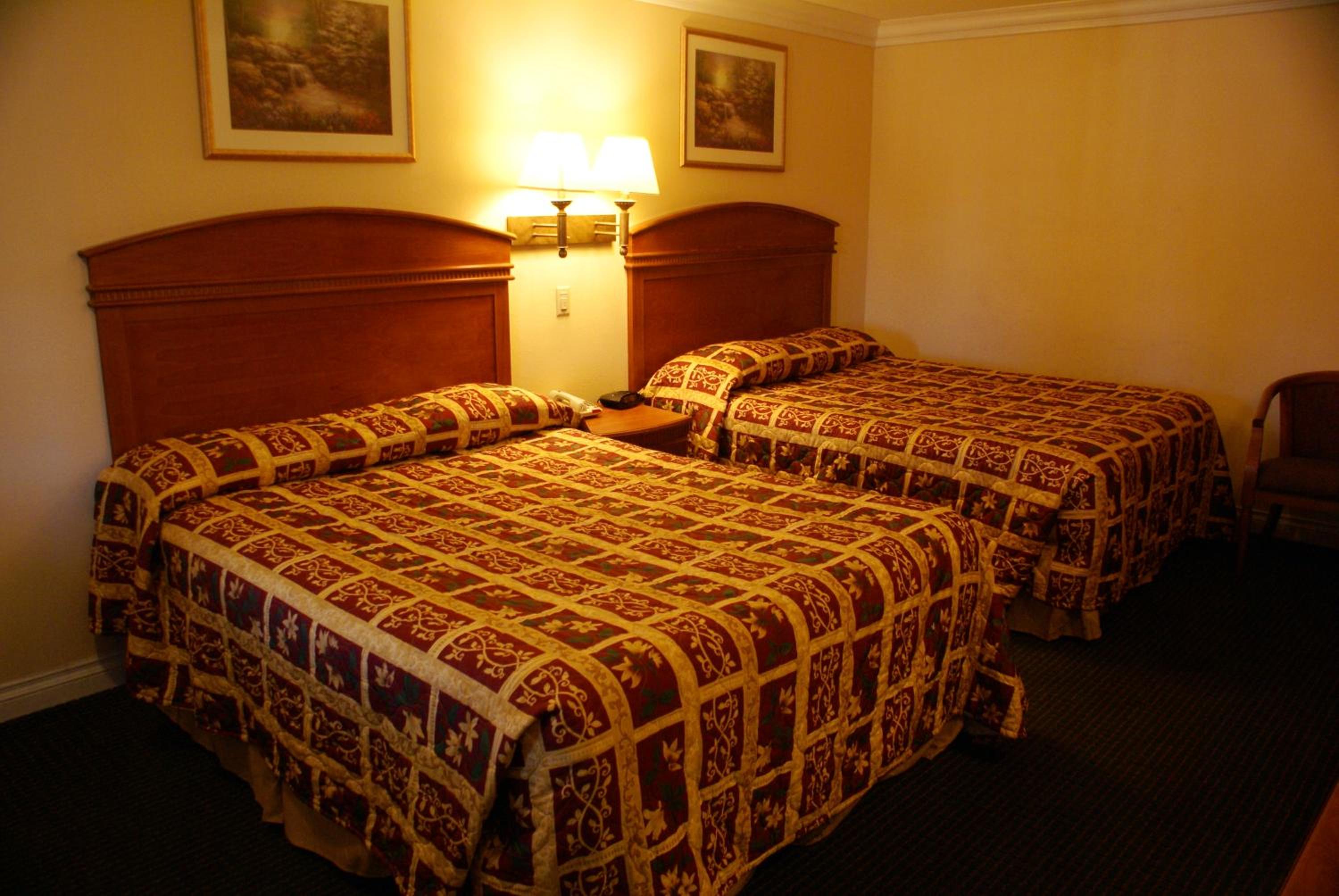 Standard Family Room - Photo 4