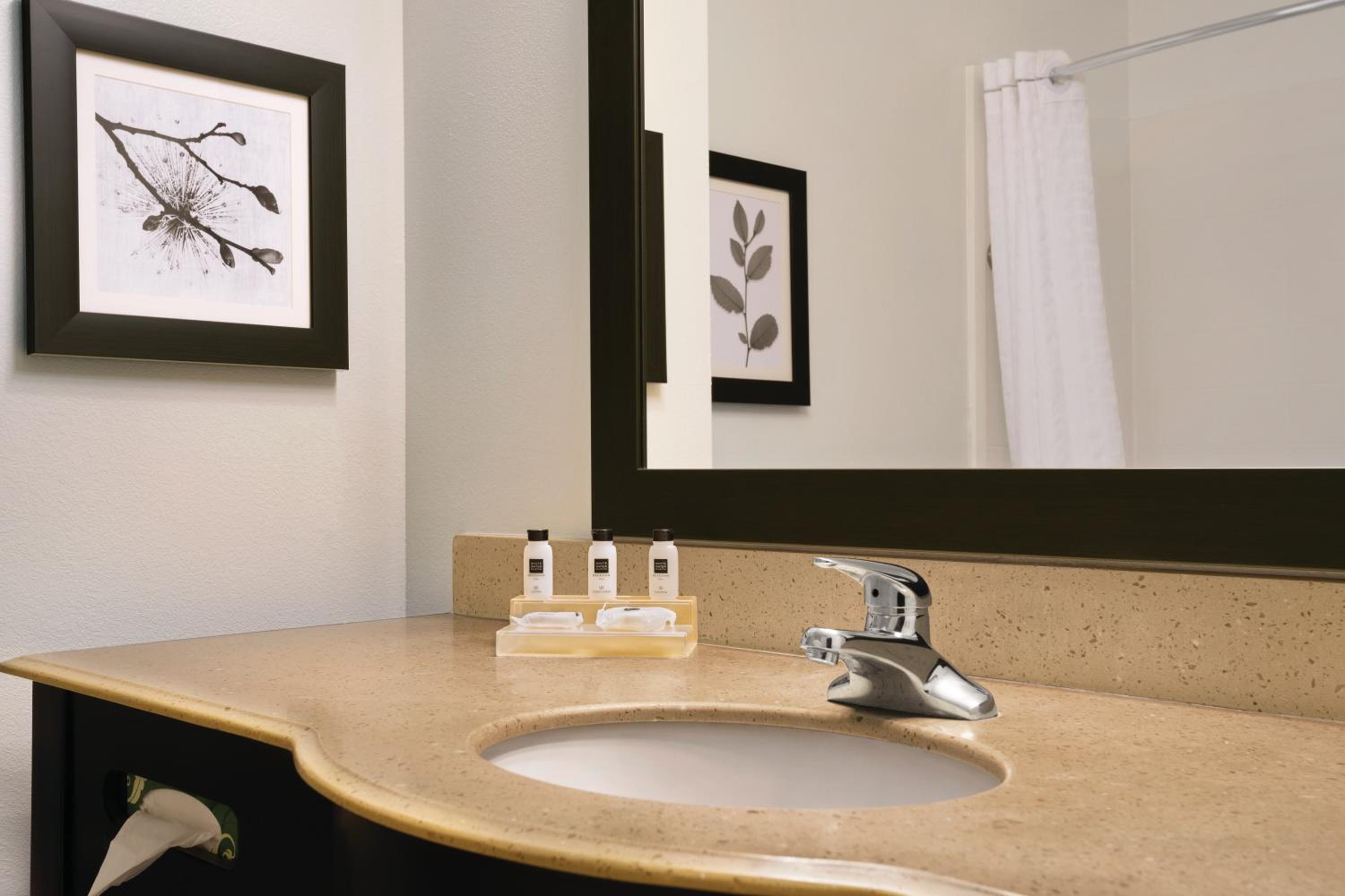 One-Bedroom King Suite - Photo 3
