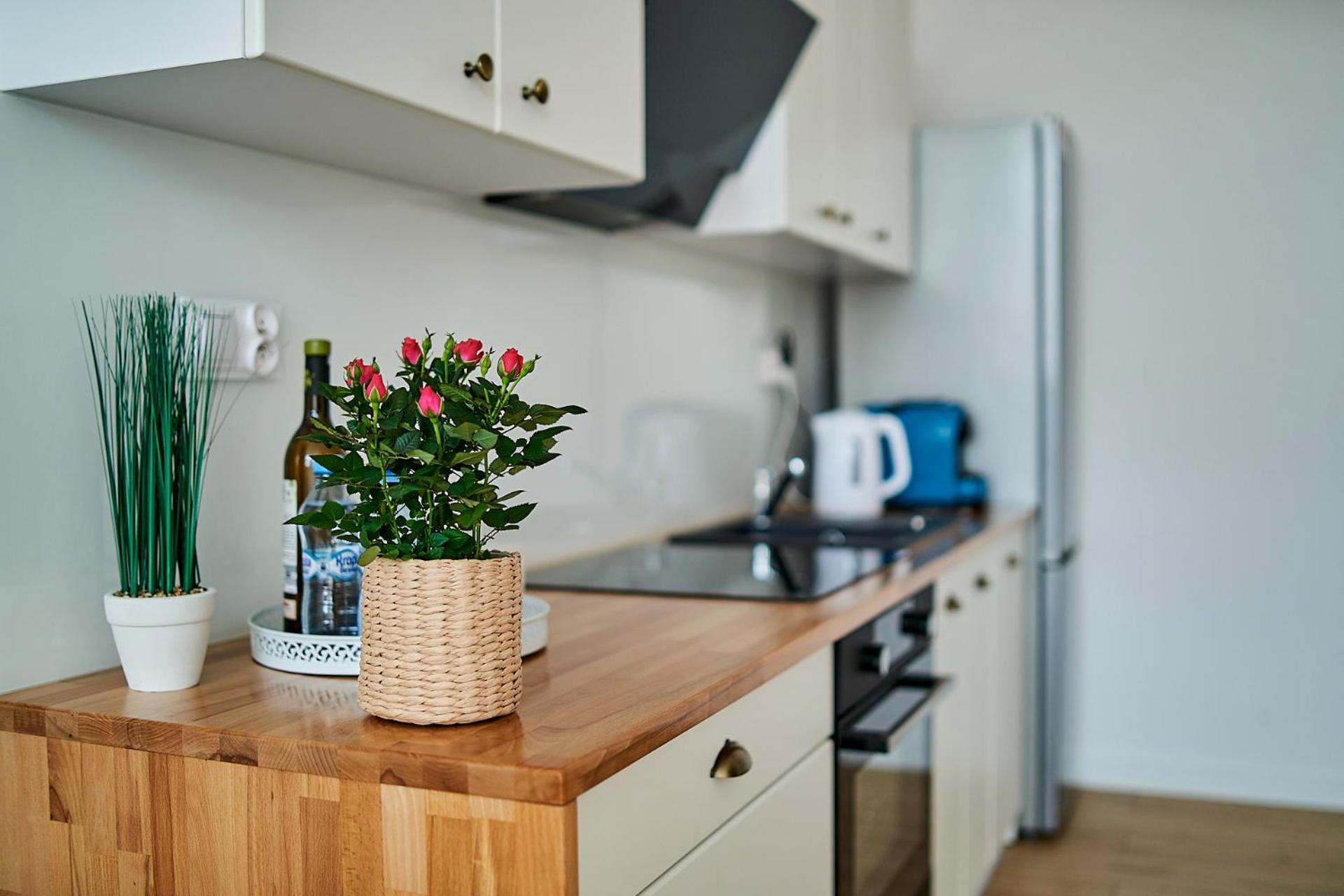 One-Bedroom Apartment - Photo 11