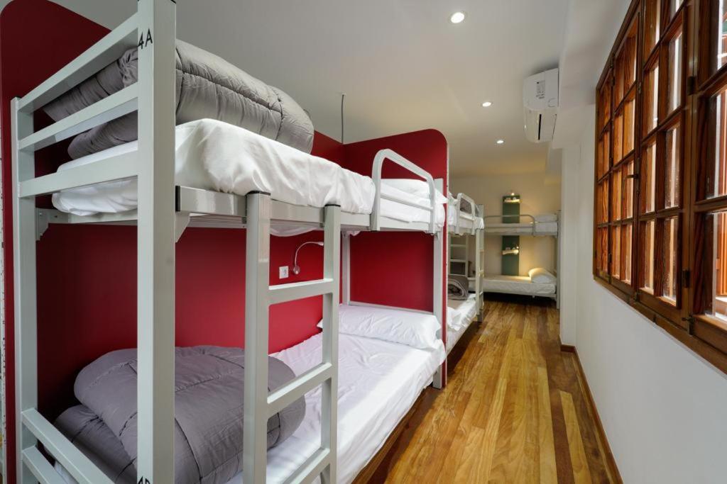 Bunk Bed in Mixed Dormitory Room