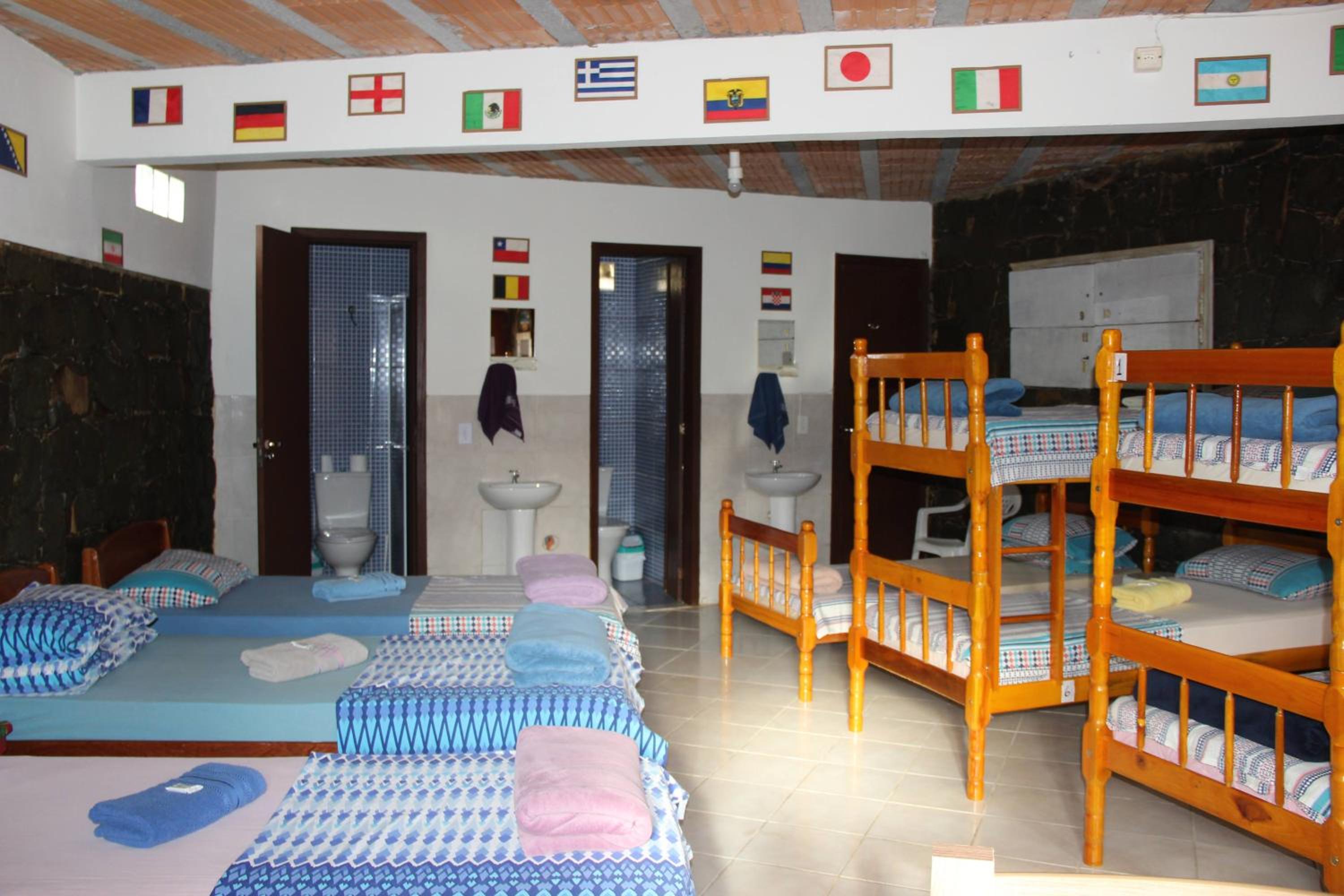 Bunk Bed in Mixed Dormitory Room
