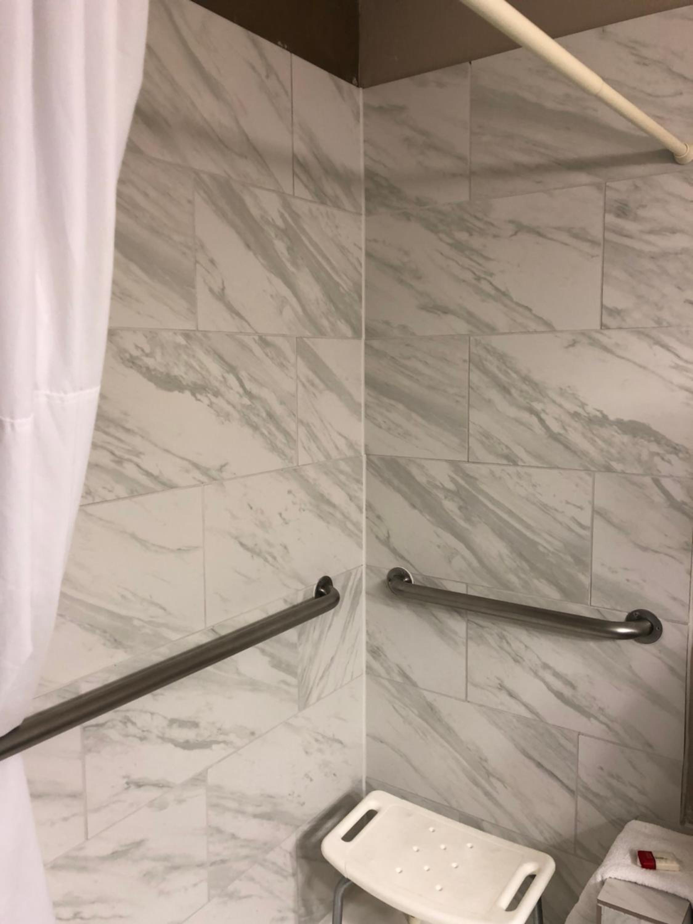 1 King Bed, Mobility/Hearing Accessible Room, Roll-In Shower, Non-Smoking - Photo 5