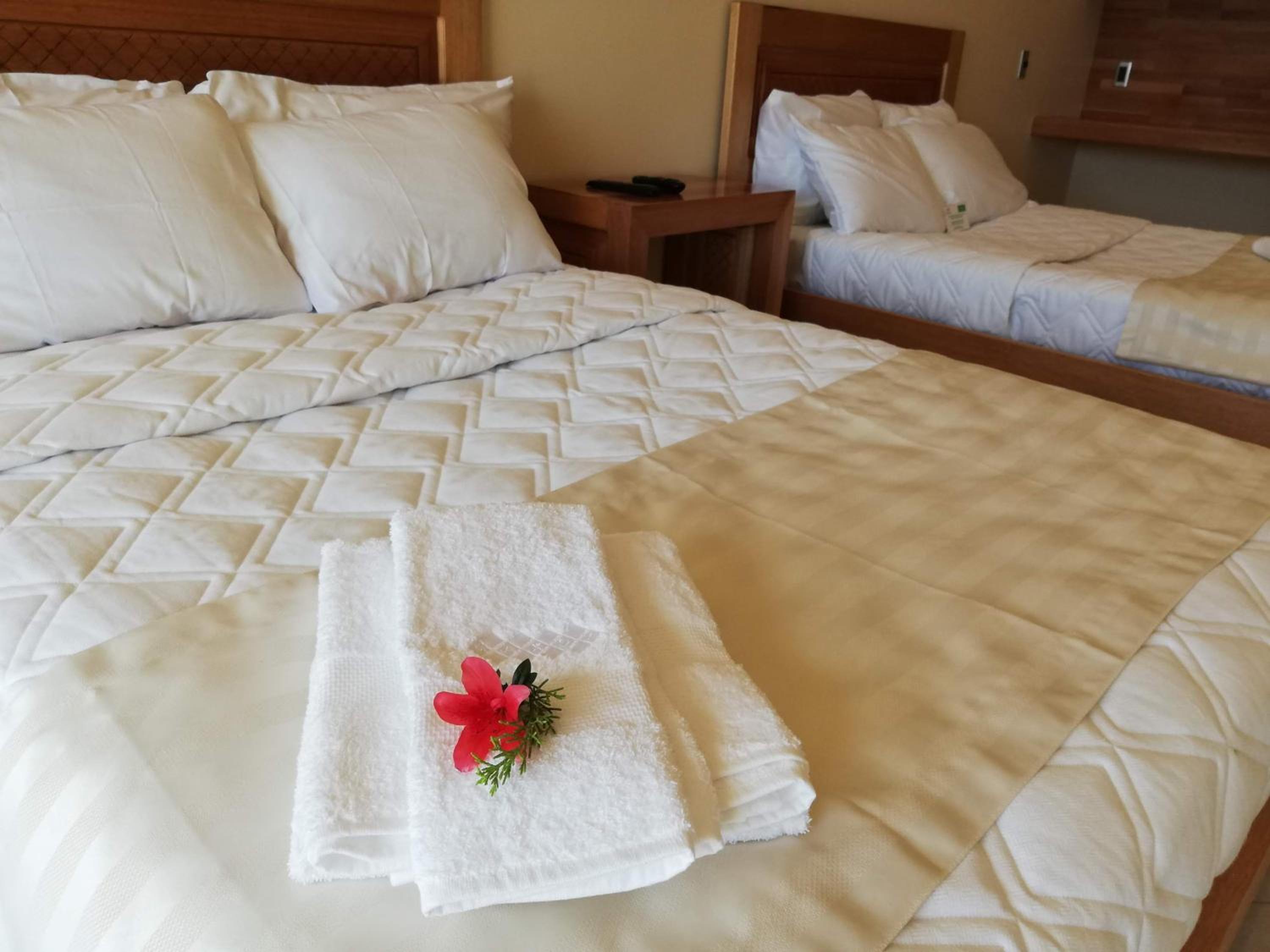 Twin Room - Photo 2