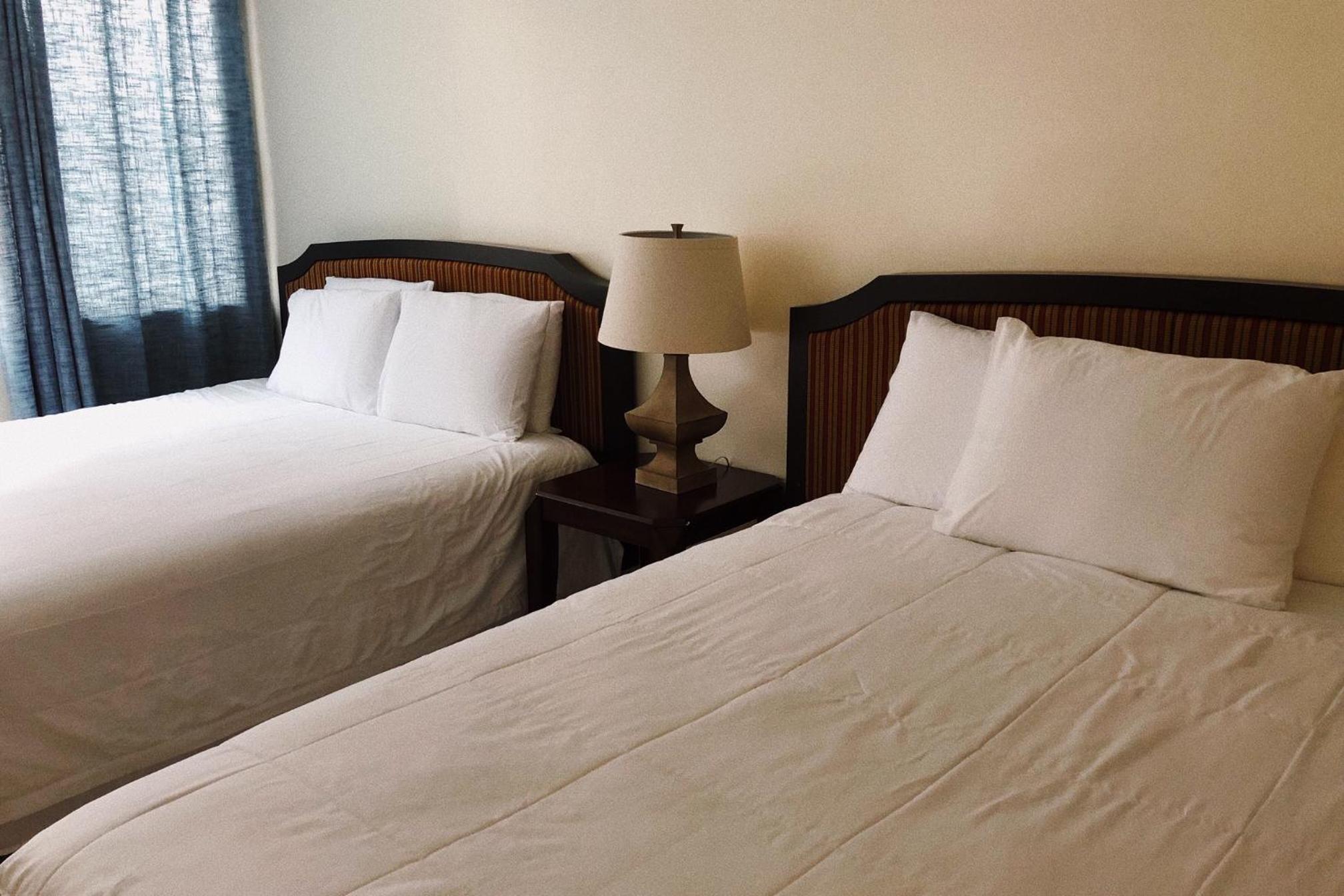 Standard Double Studio with Two Double Beds photo 1