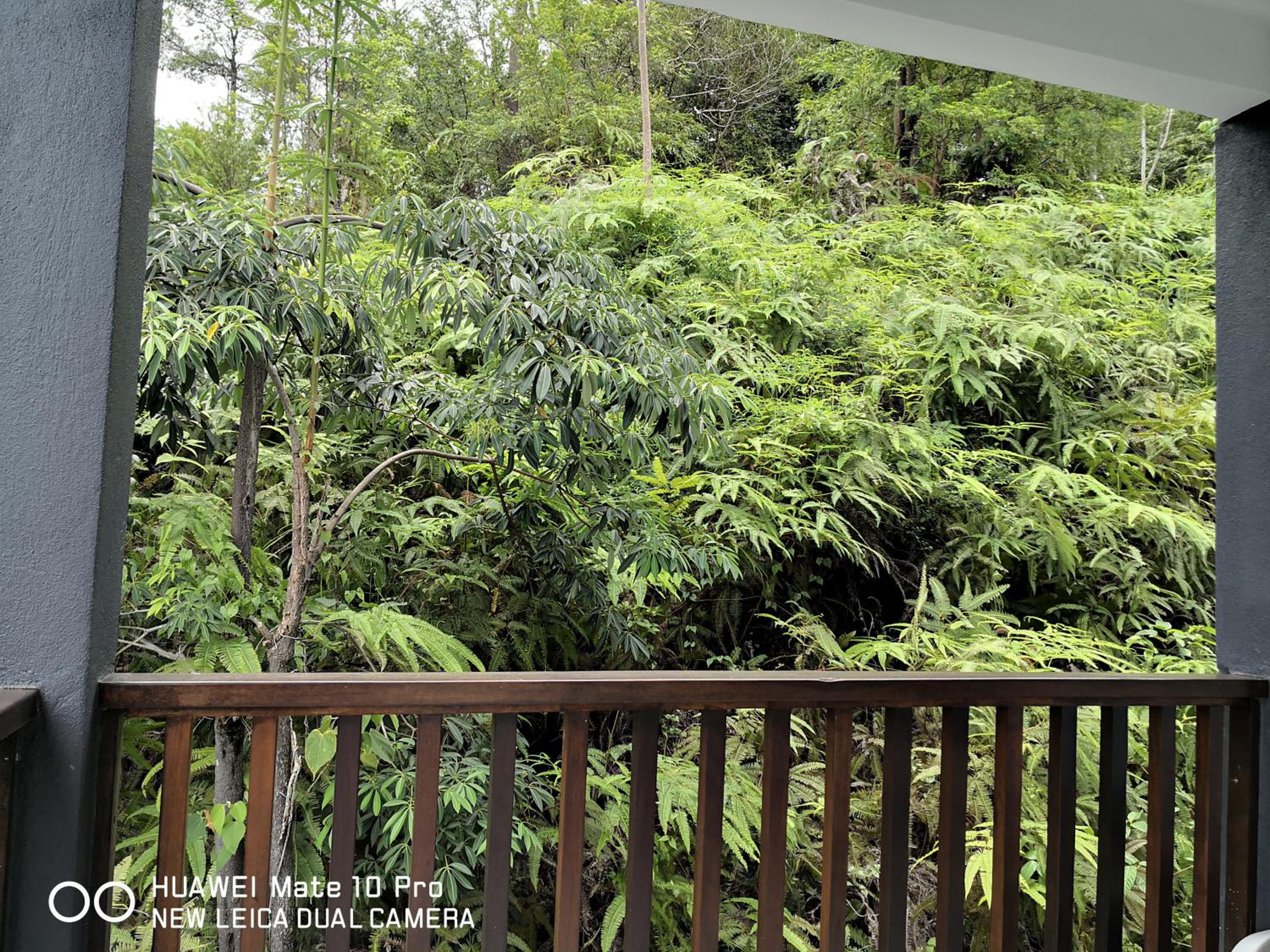 King Room with Balcony photo 3