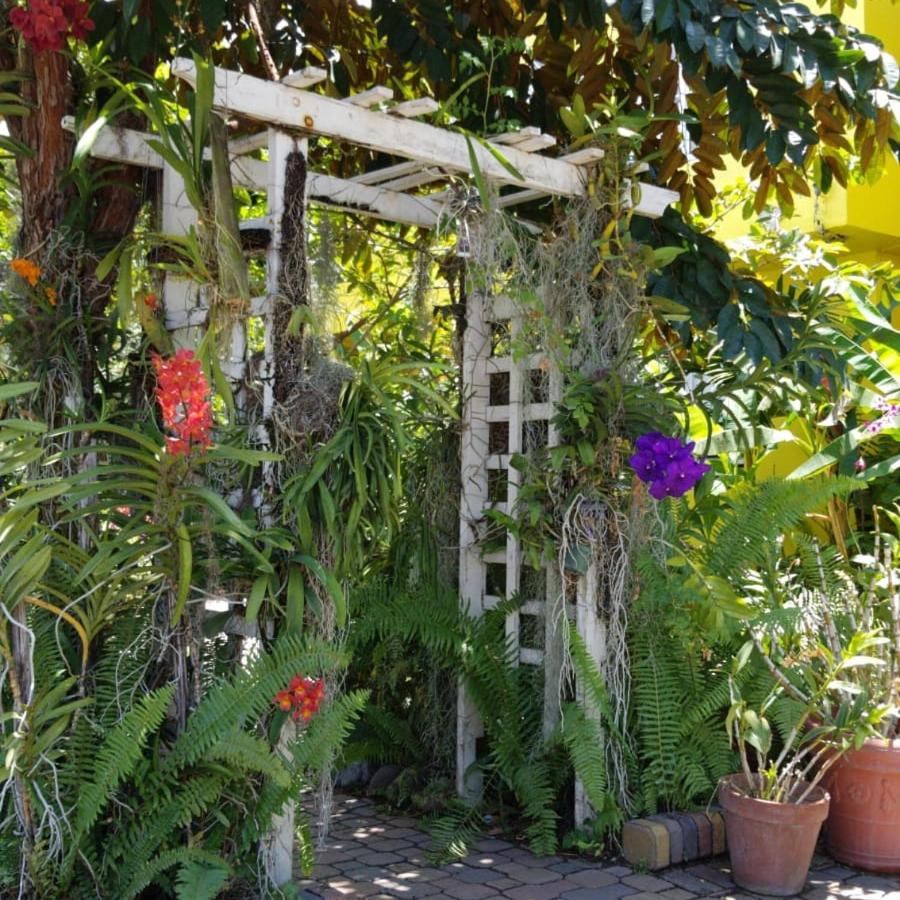 Deluxe Bungalow with Garden View photo 1