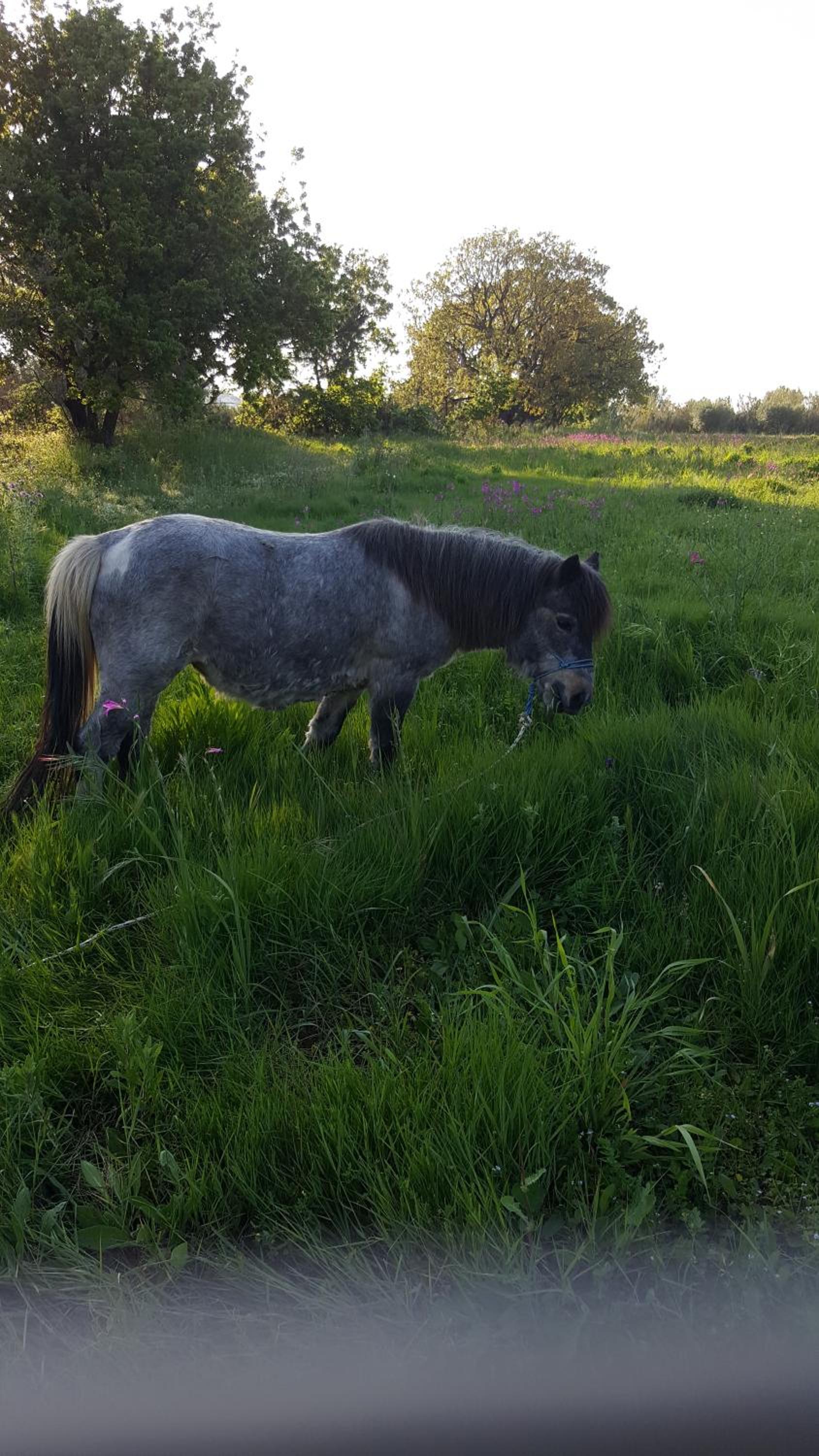 Two-Bedroom Apartment photo 2