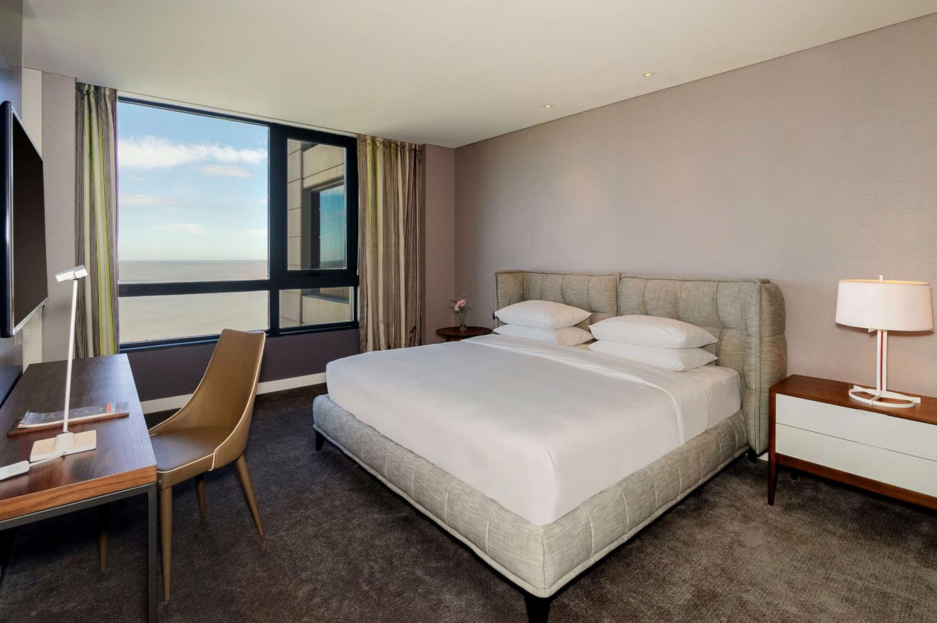 King Suite photo 2